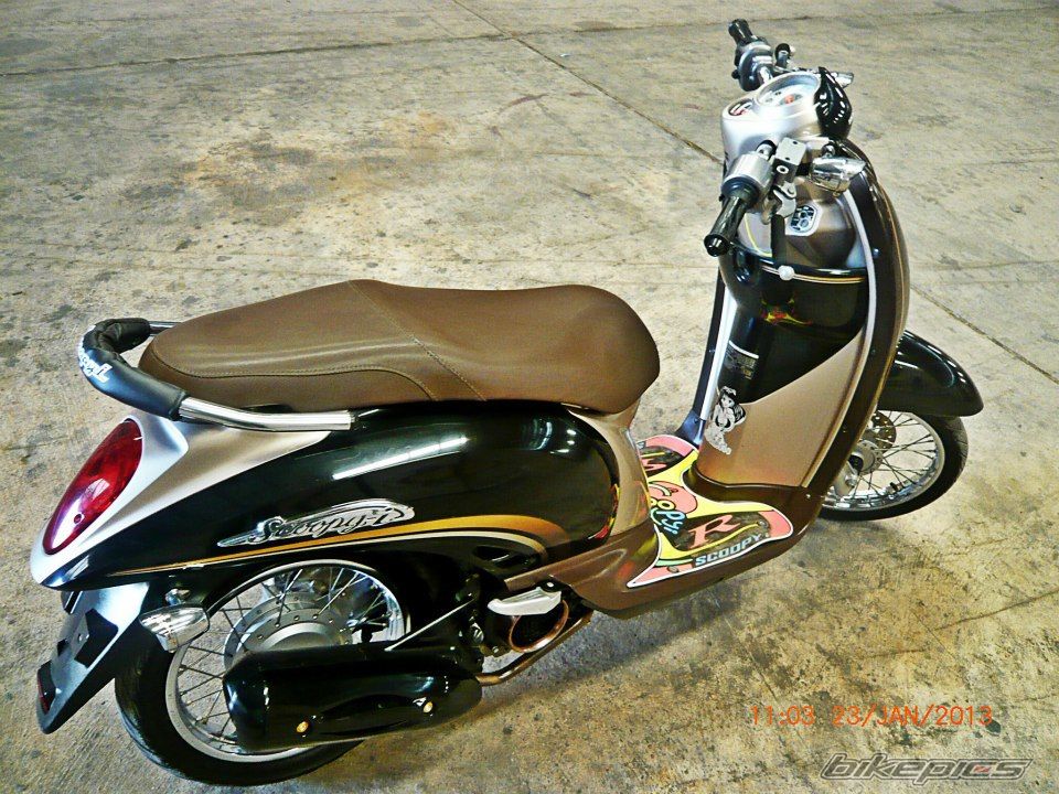 Photo 2527557