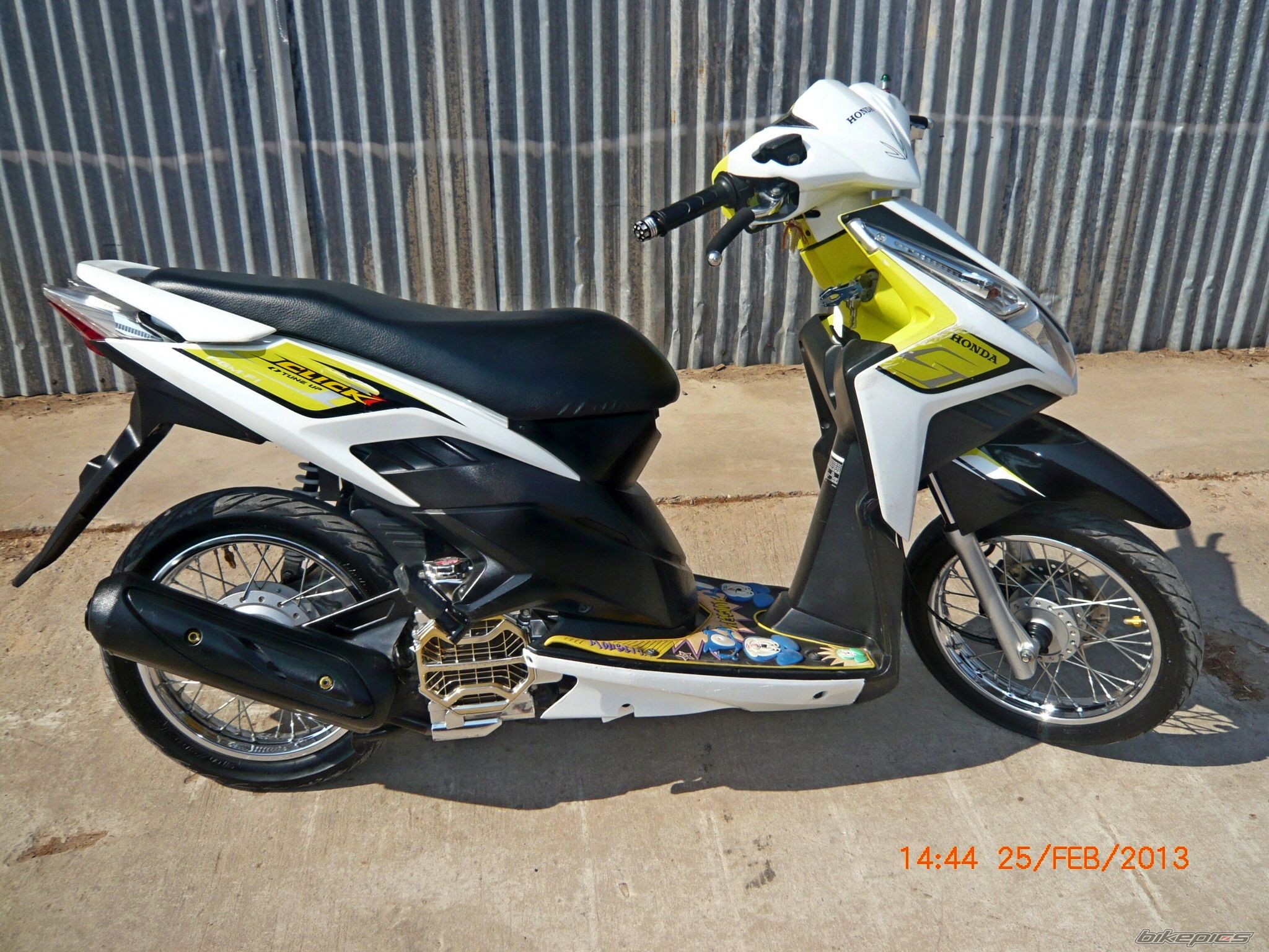 Photo 2527564