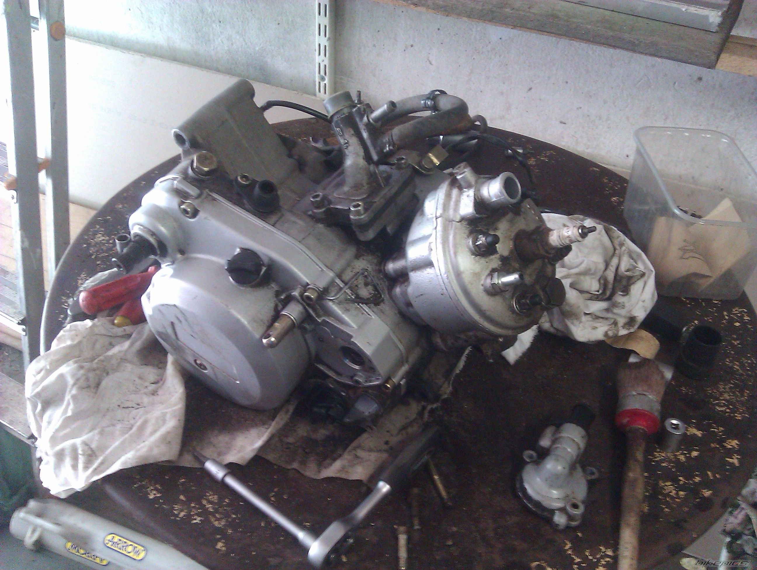 Photo 2527618