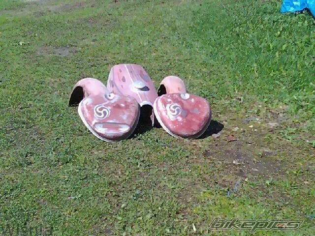 Photo 2527630