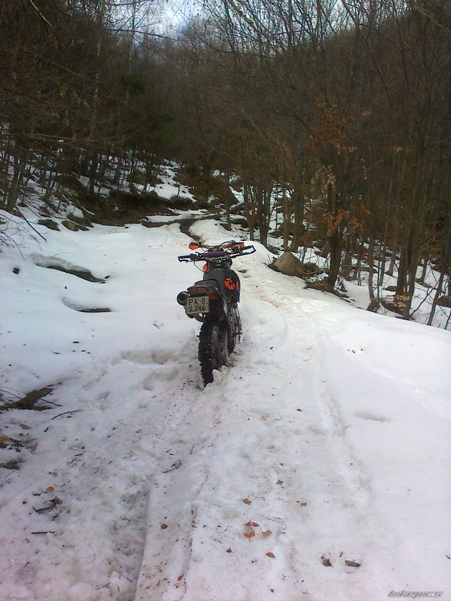 Photo 2527725