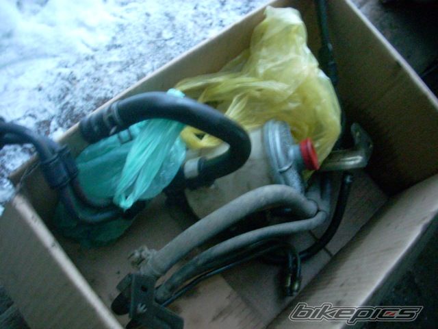 Photo 2527788