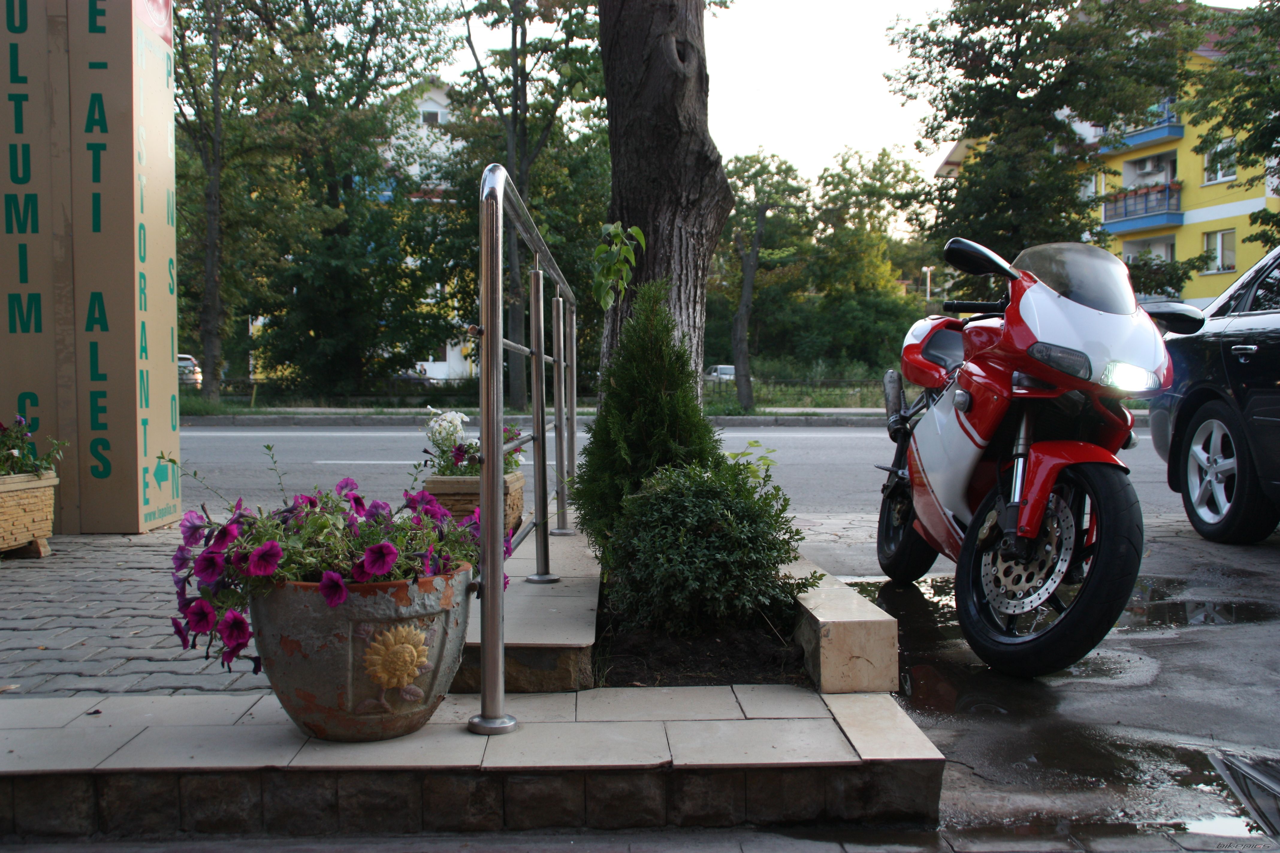Photo 2527795