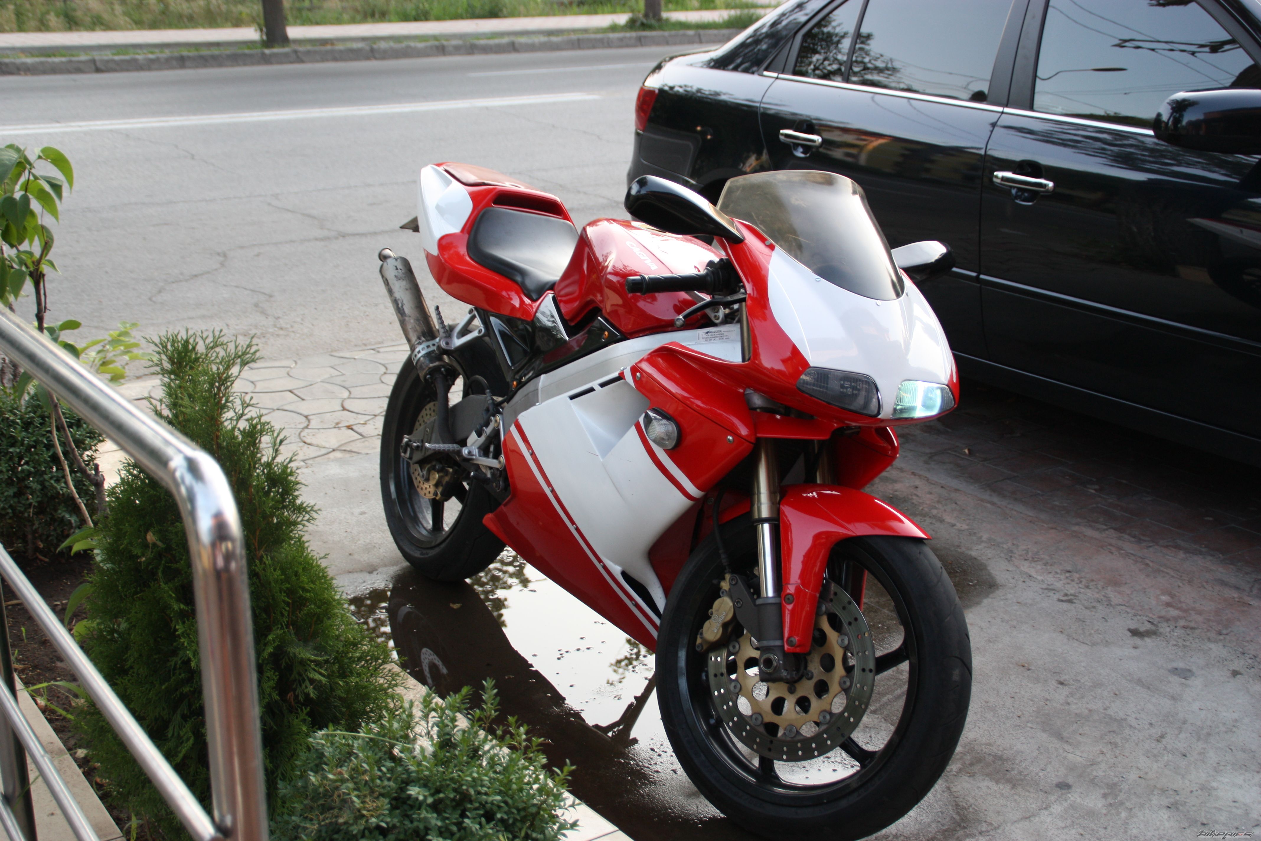 Photo 2527797