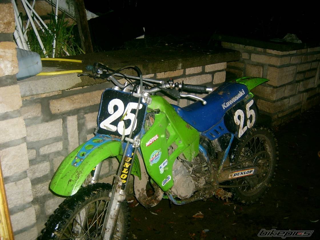 Photo 252782