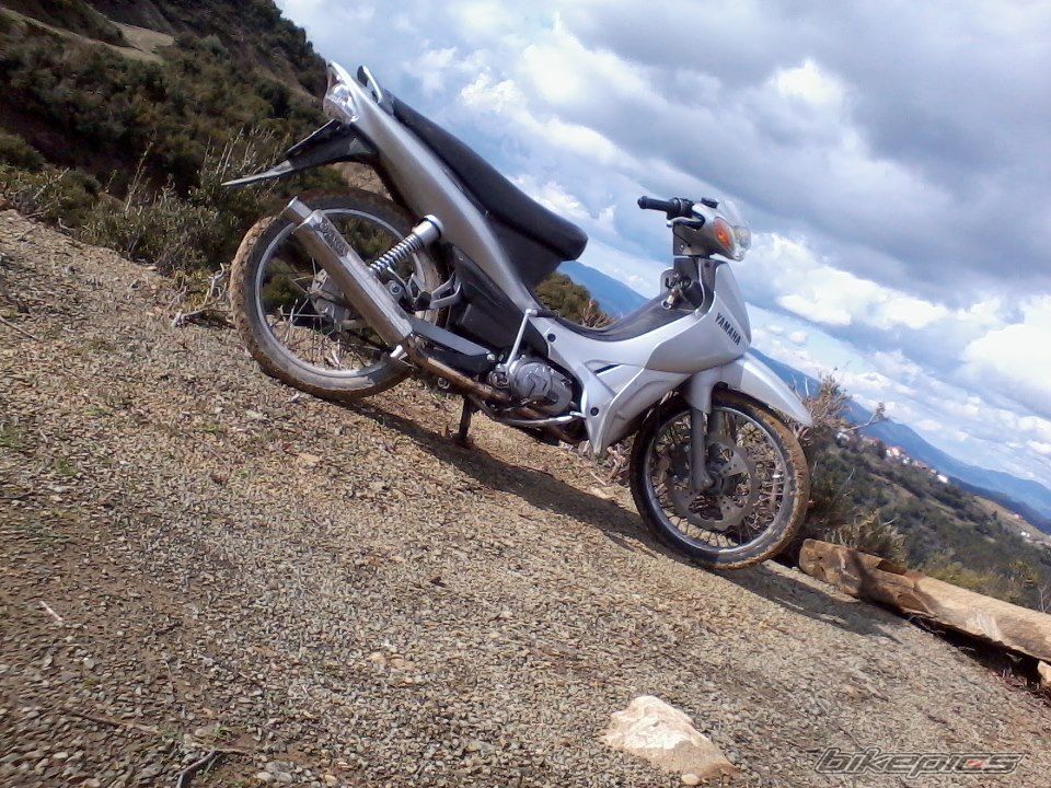 Photo 2527851