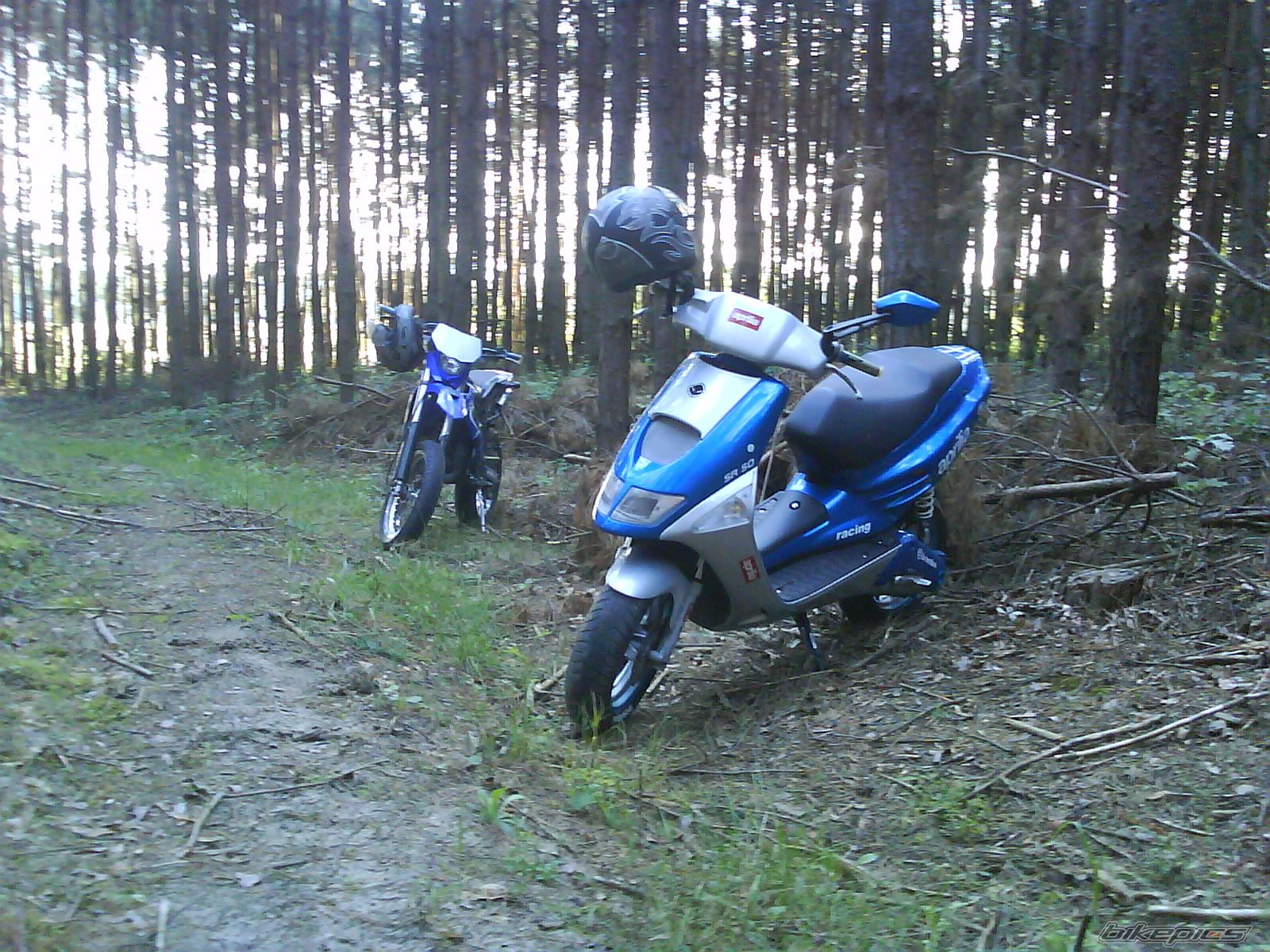 Photo 2527867
