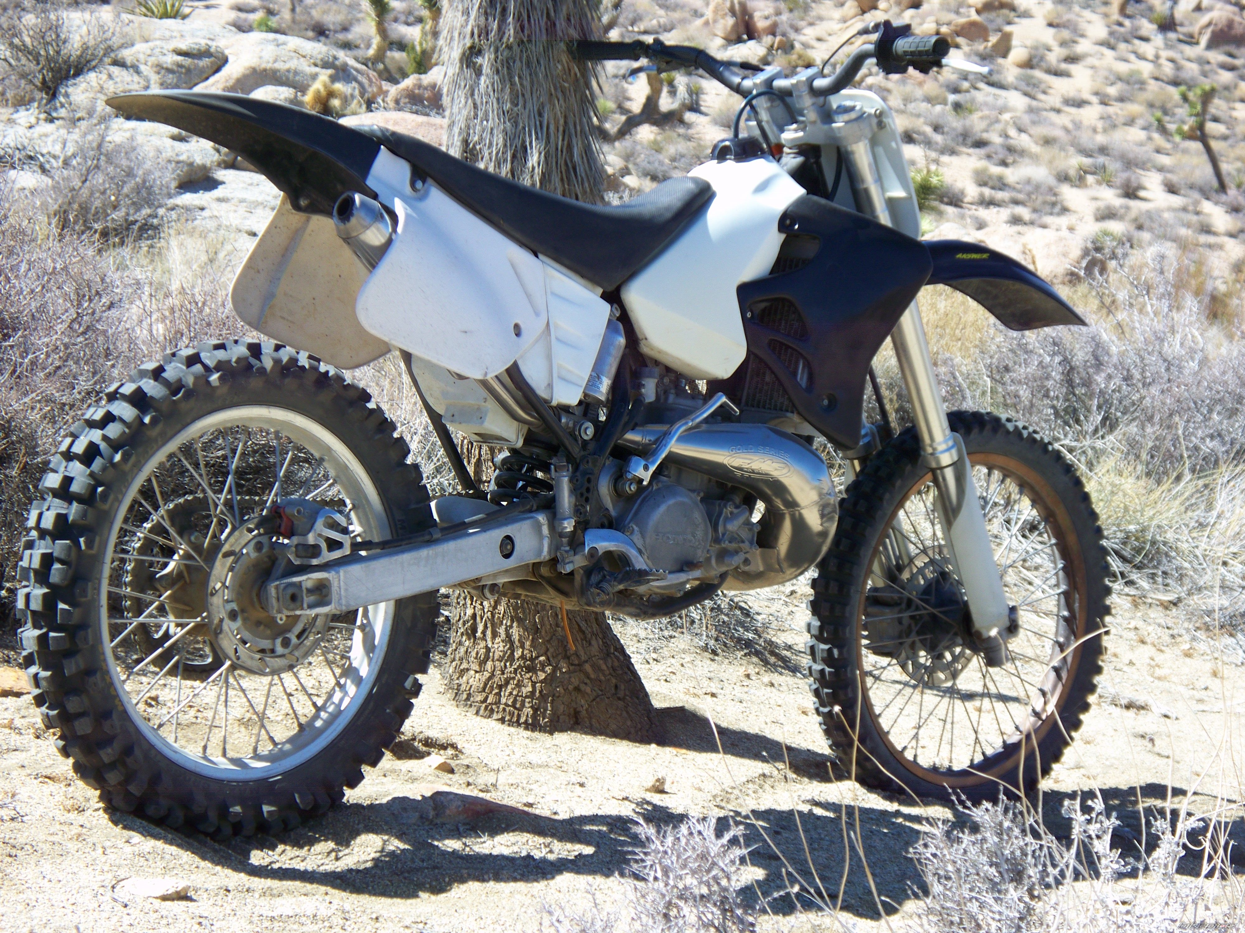 Photo 2527887