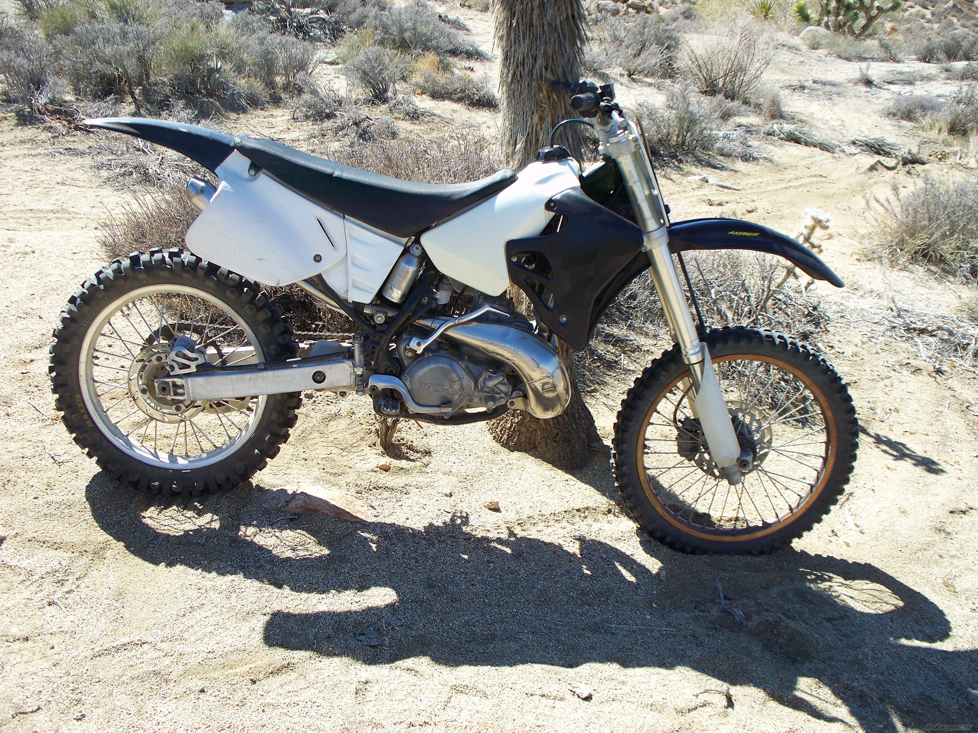 Photo 2527892