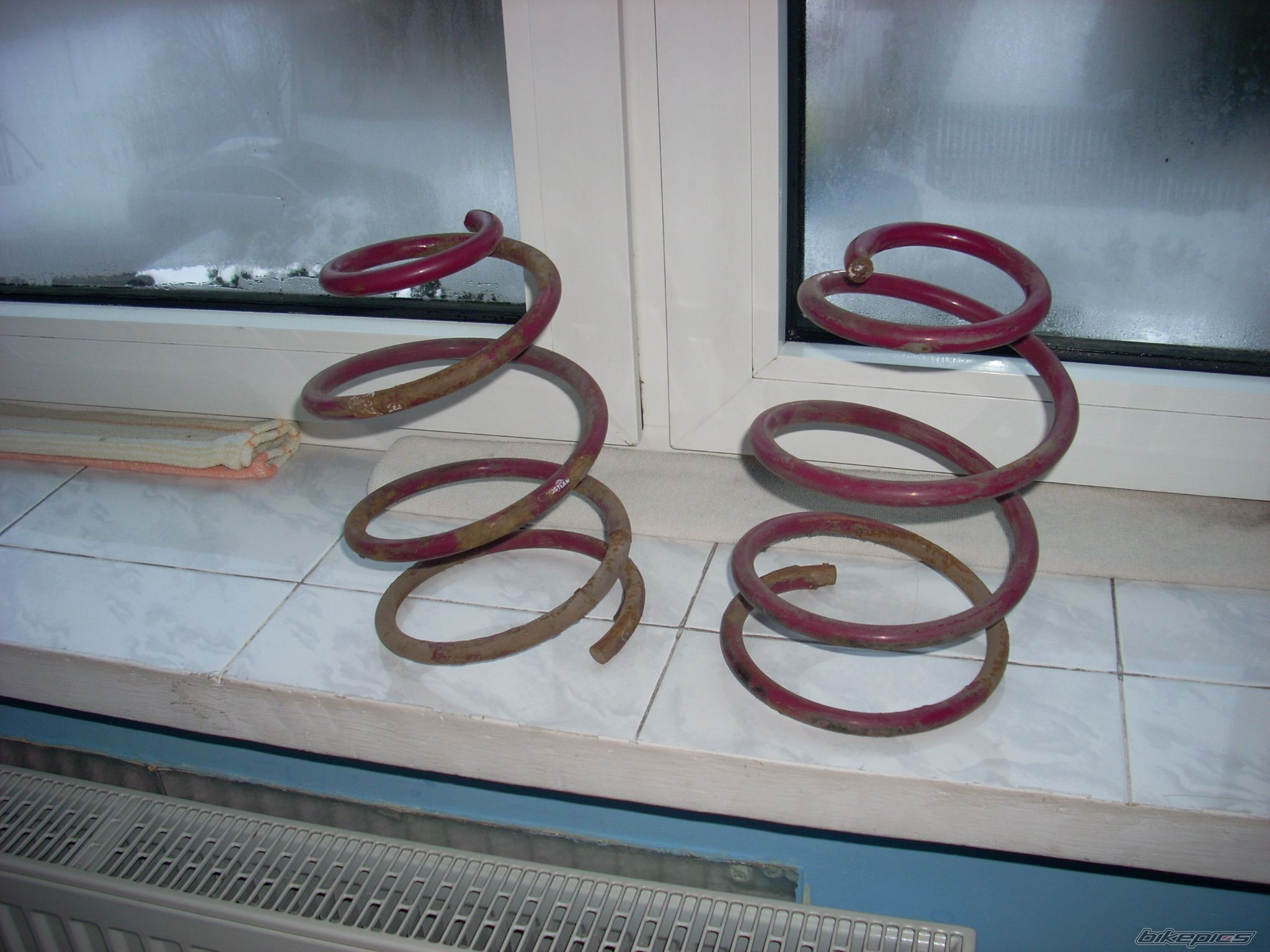 Photo 2527912