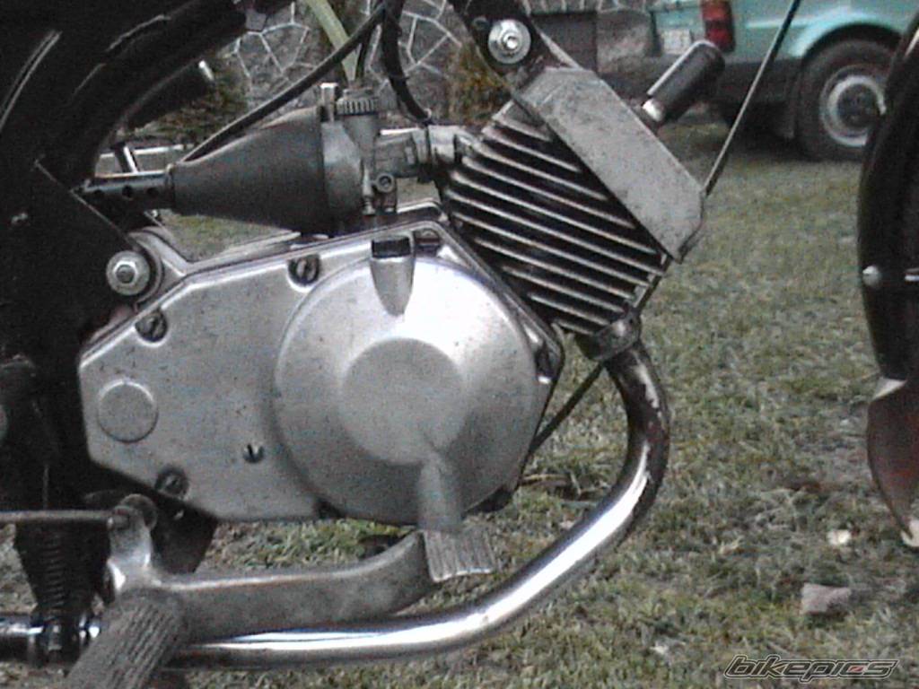 Photo 252805
