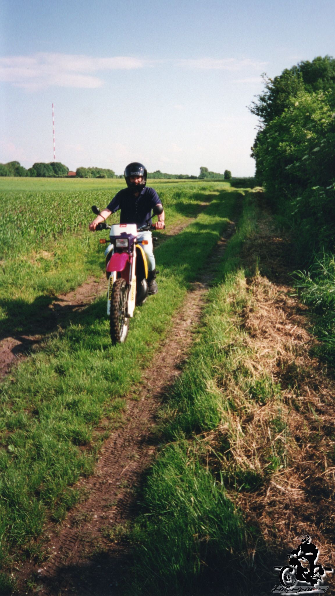 Photo 2528054