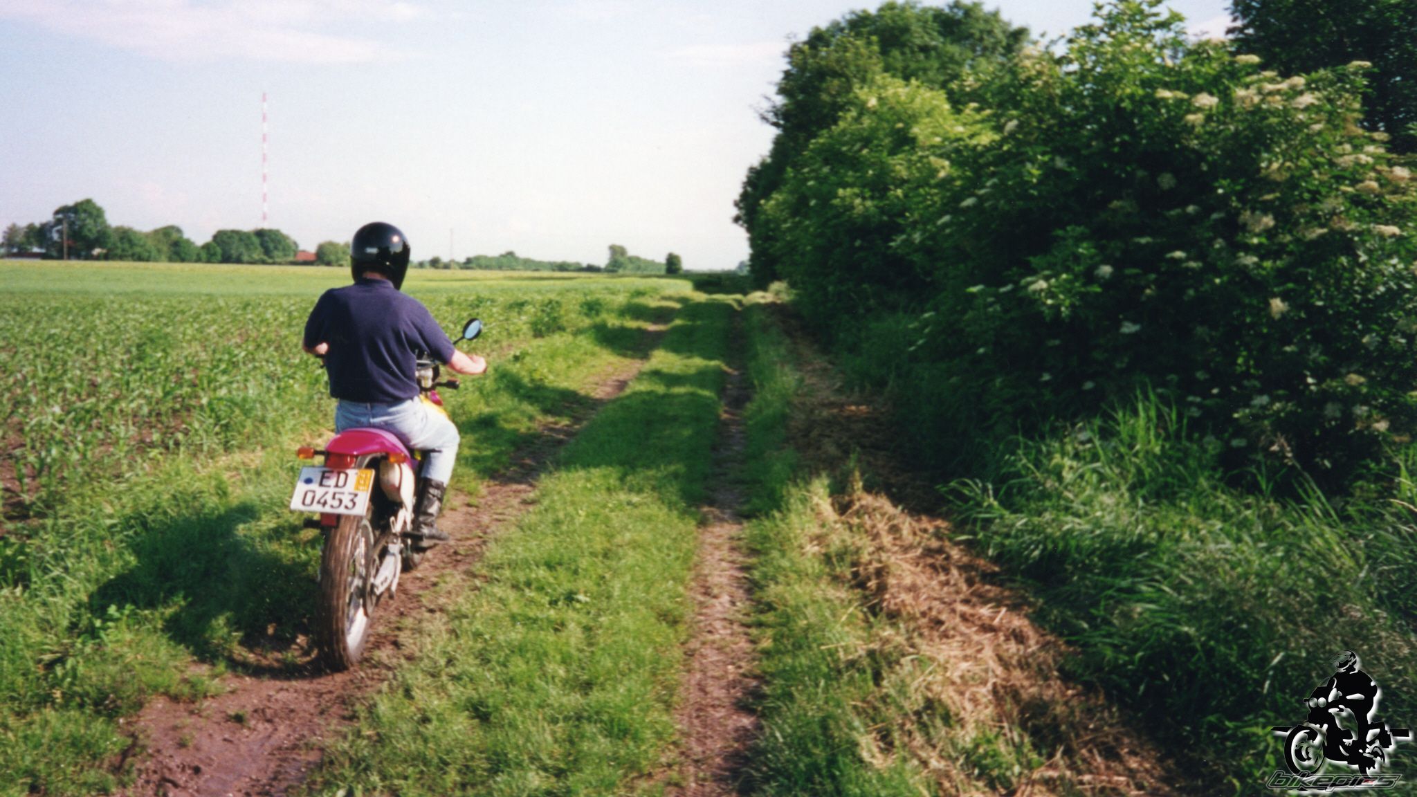 Photo 2528056