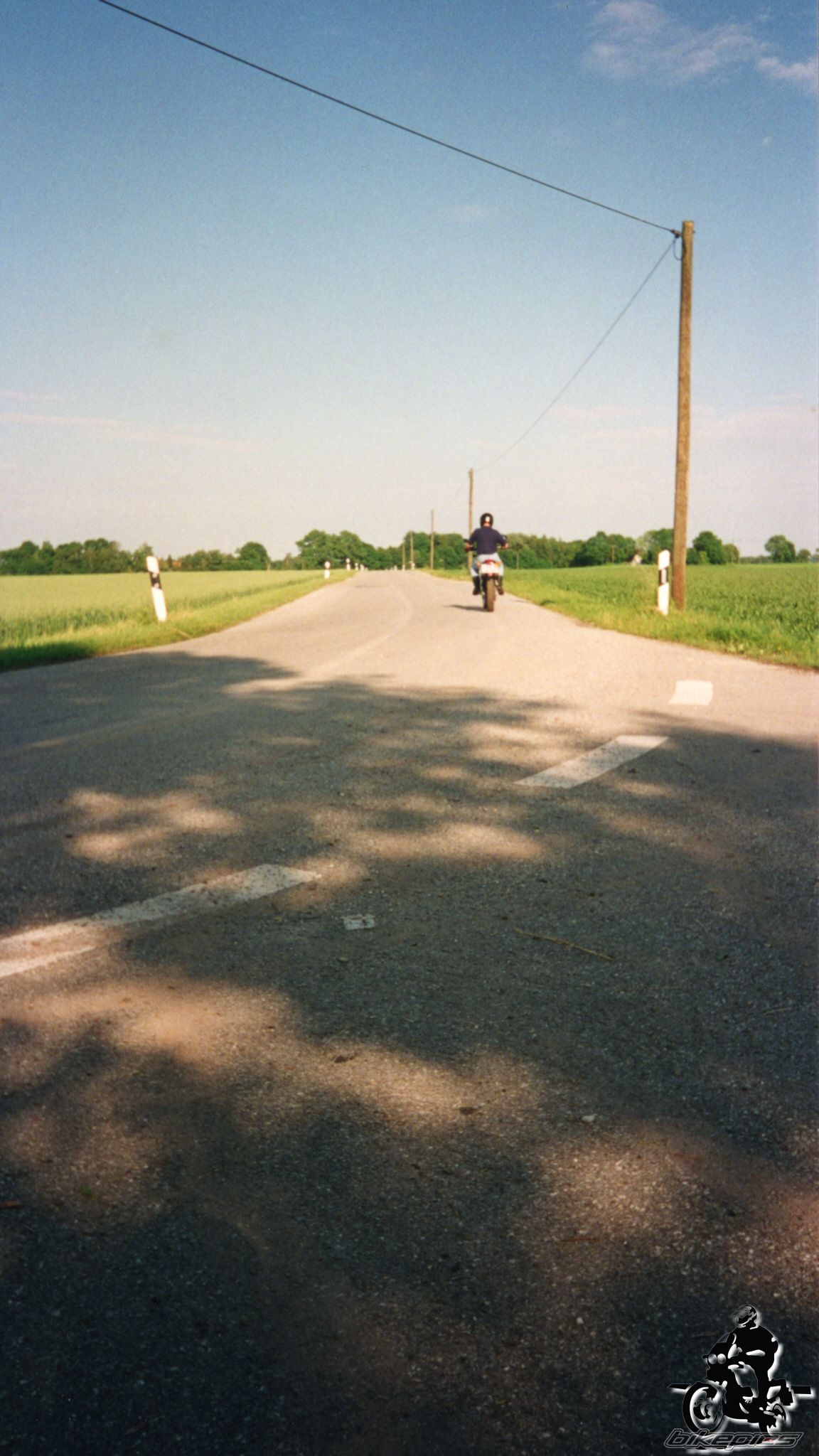 Photo 2528061