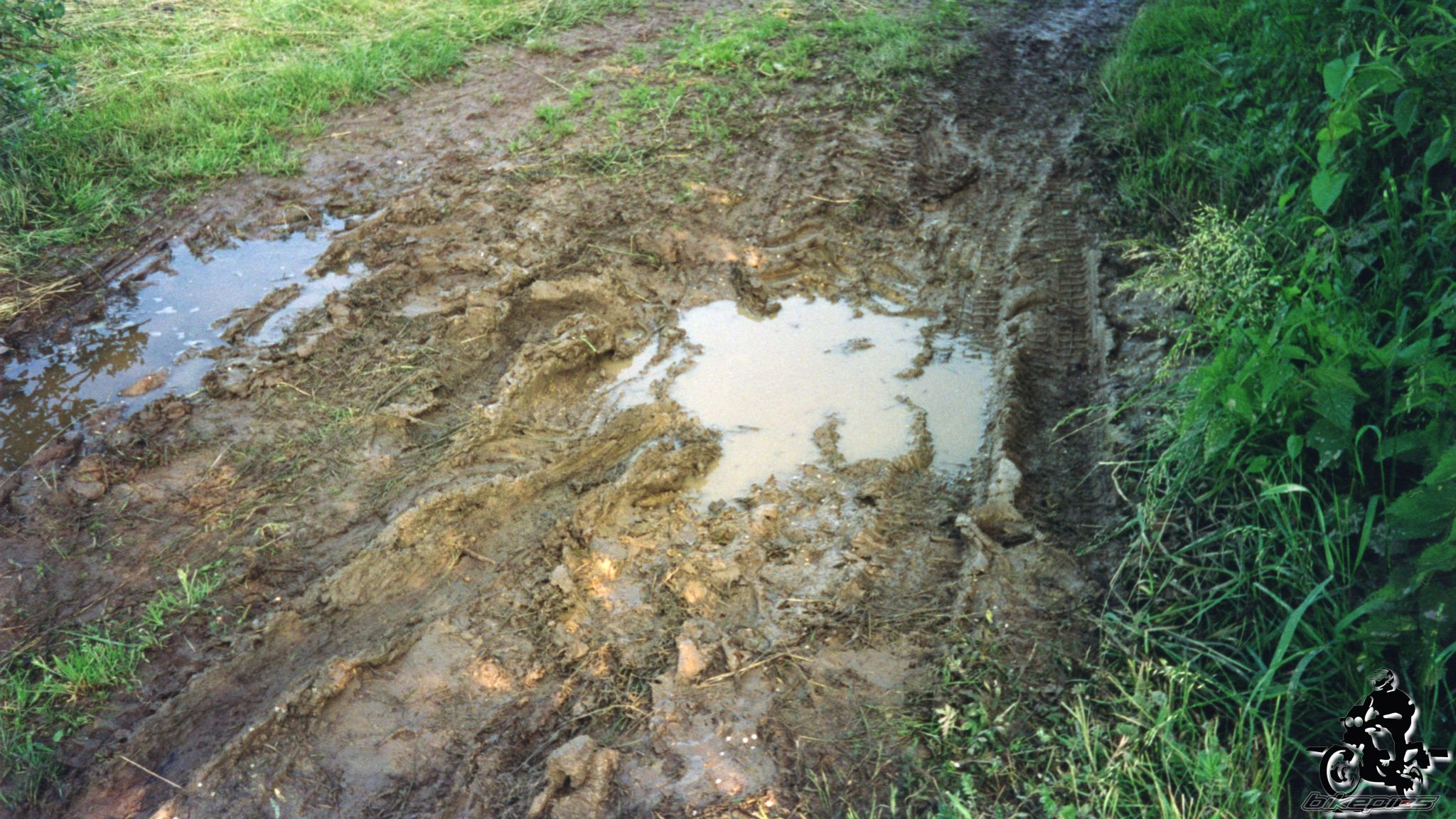 Photo 2528068