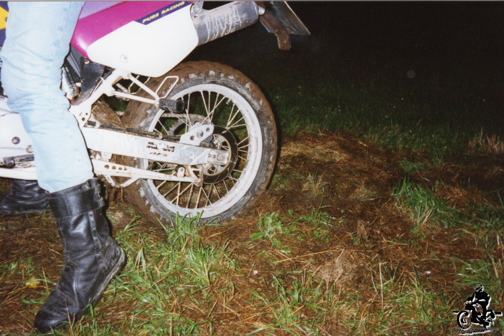 Photo 2528081