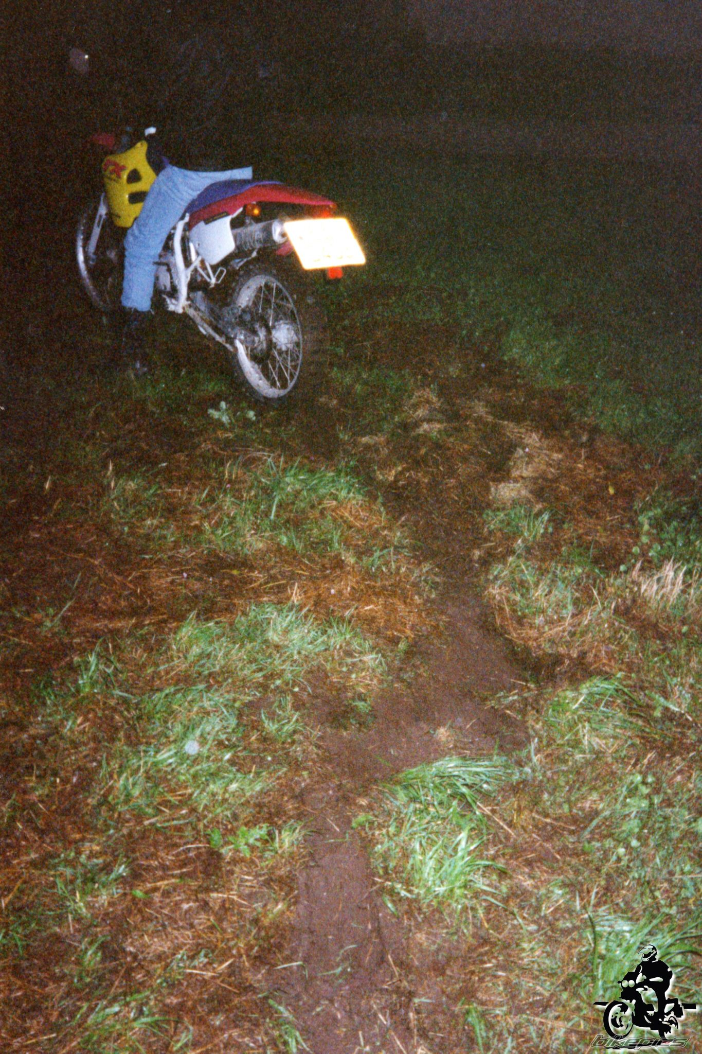 Photo 2528084