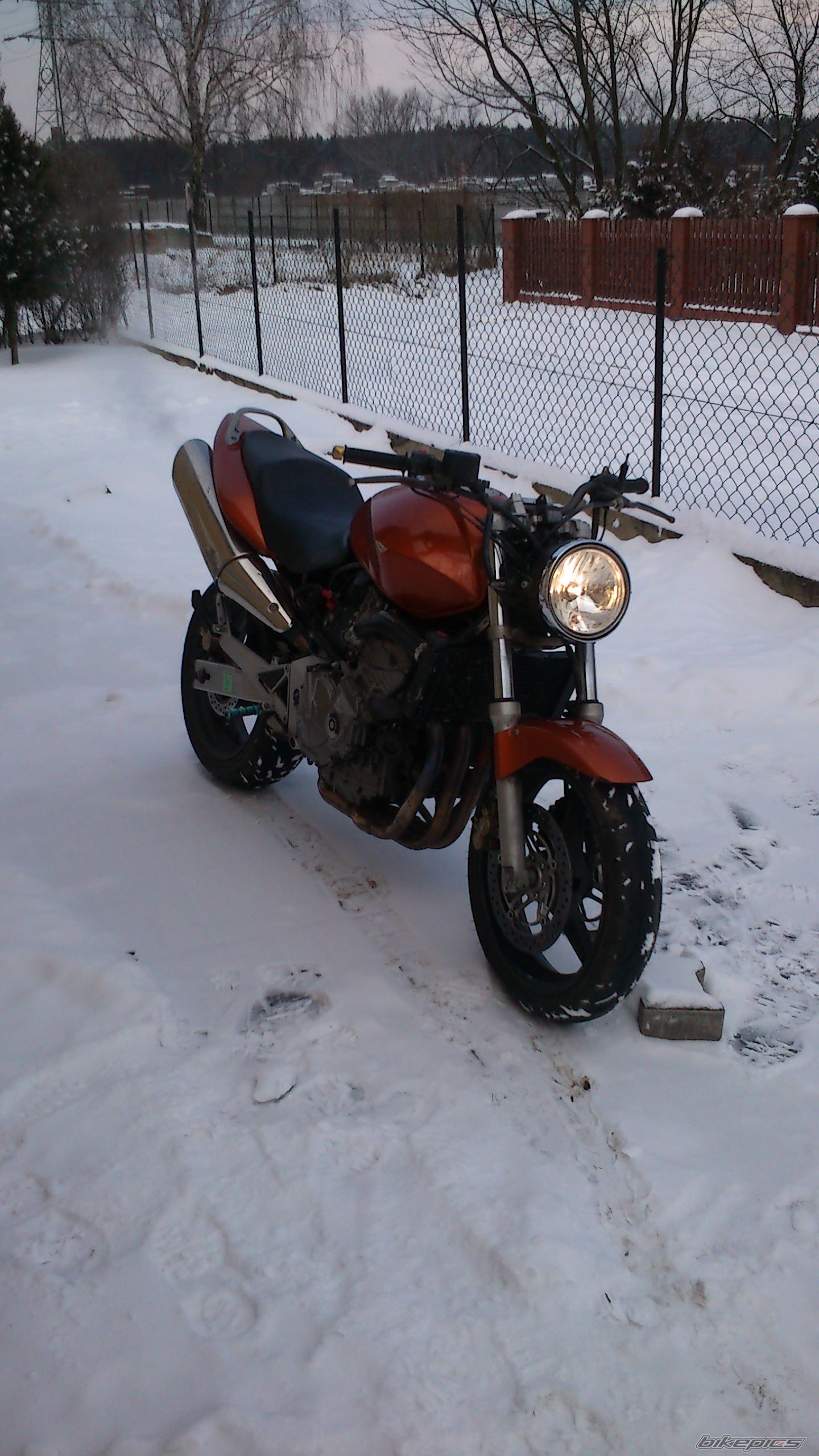 Photo 2528095