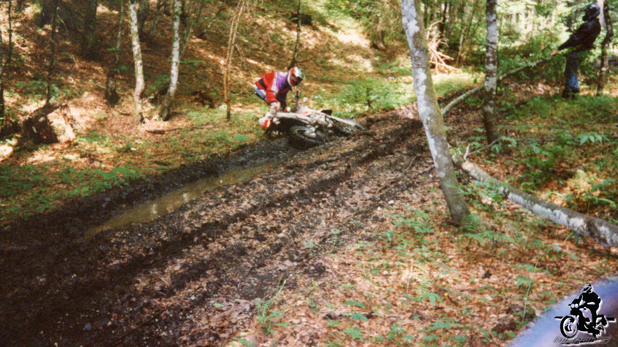 Photo 2528117