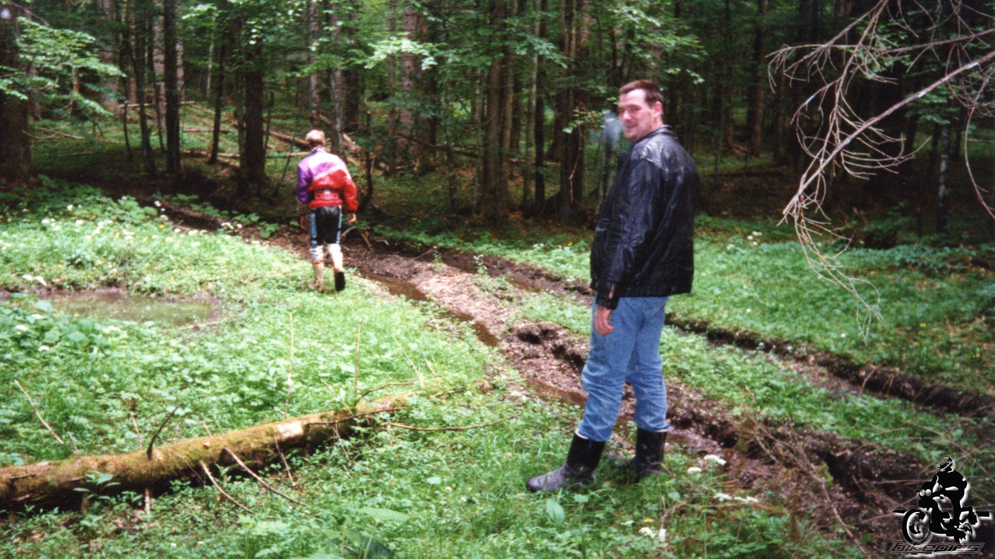 Photo 2528119