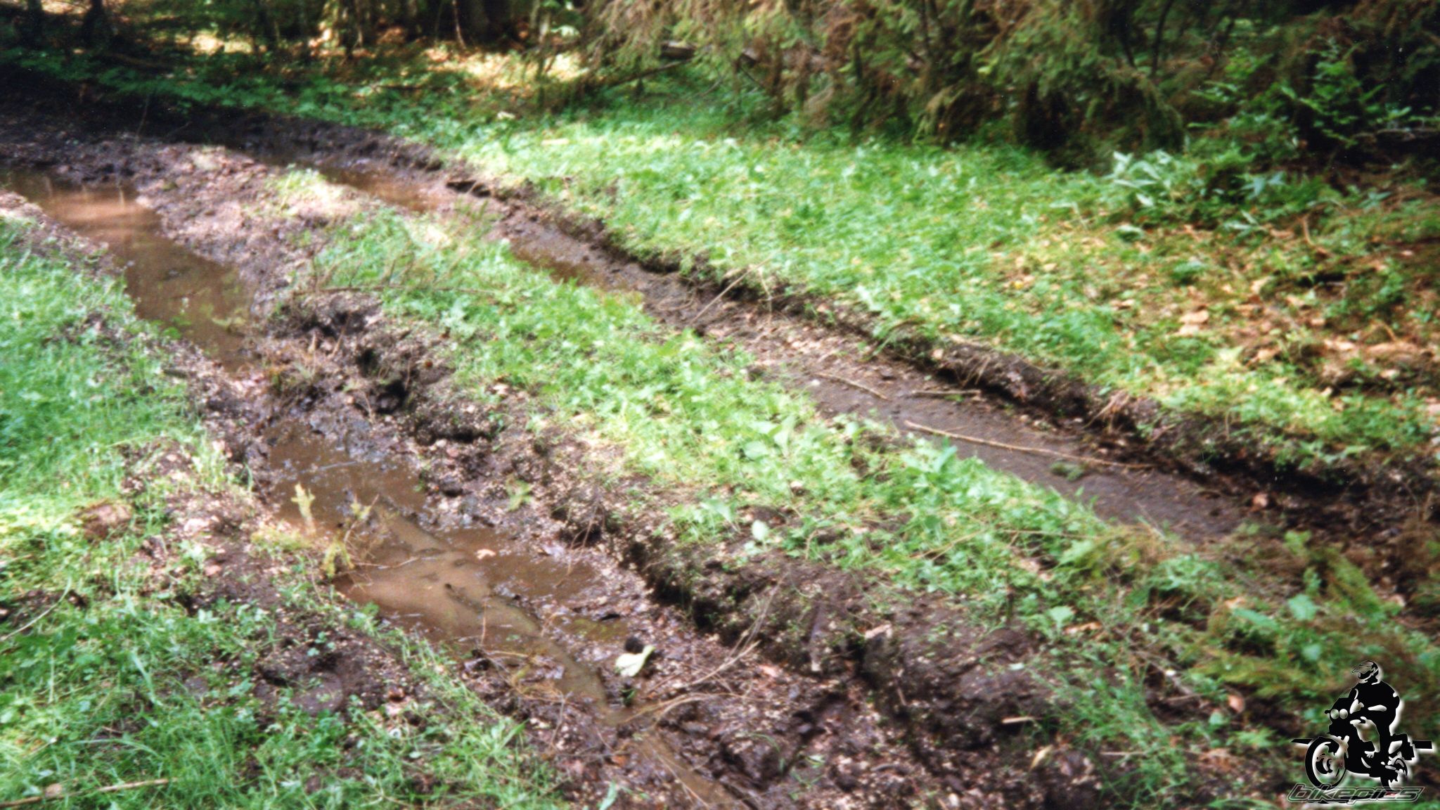 Photo 2528120