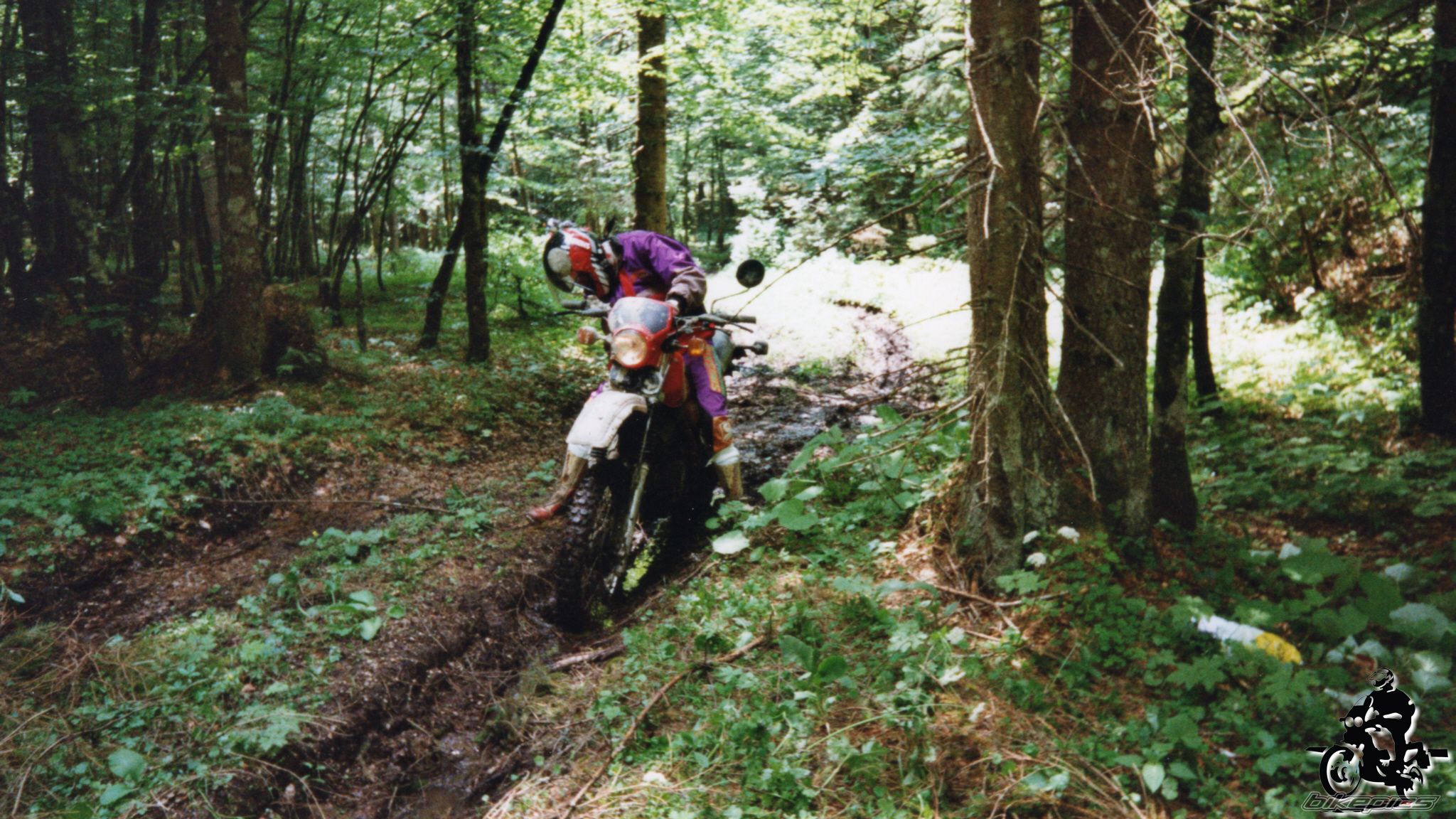Photo 2528123