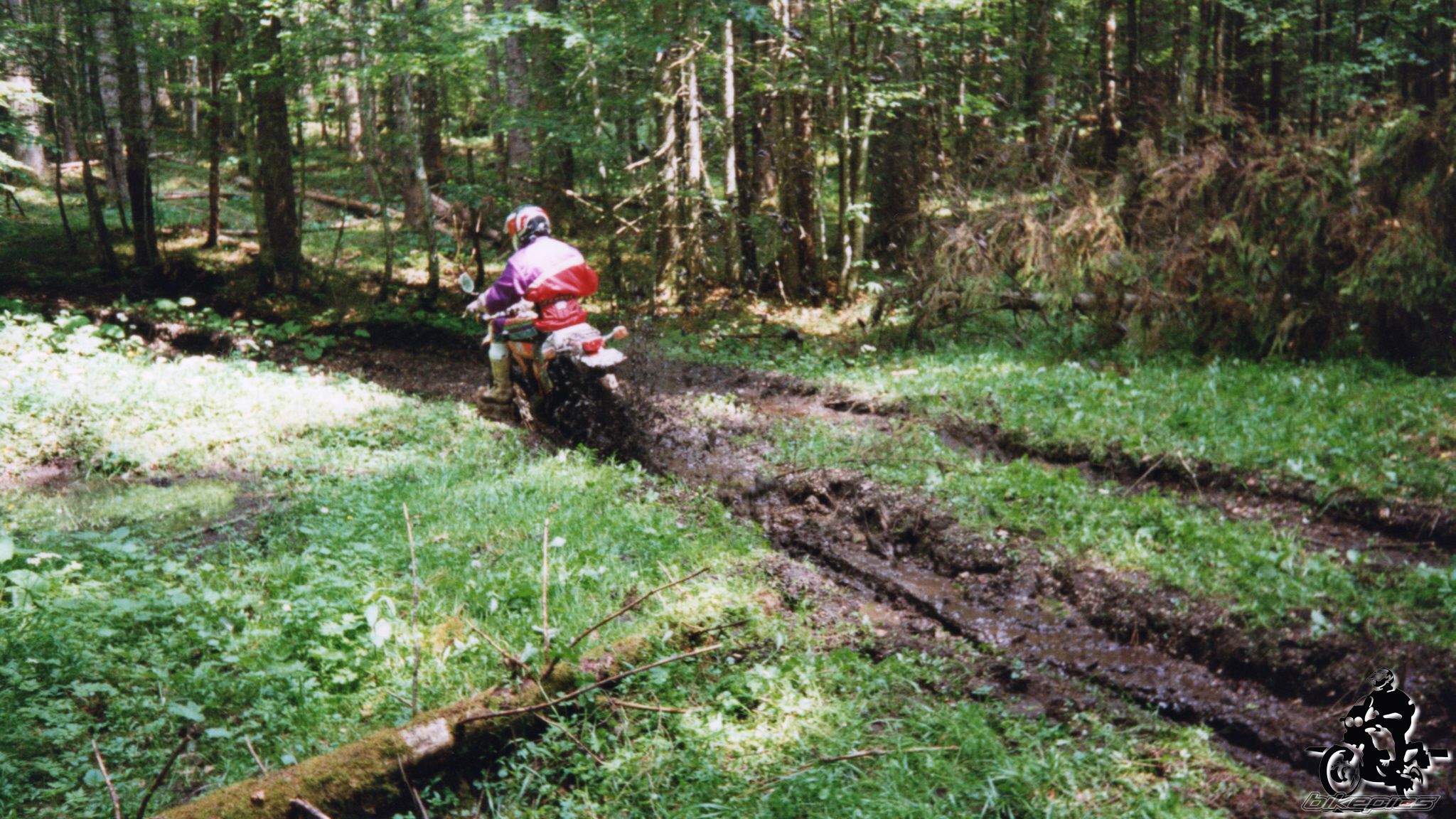 Photo 2528126
