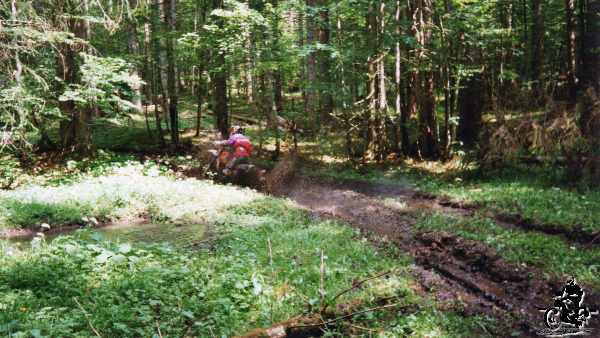 Photo 2528127