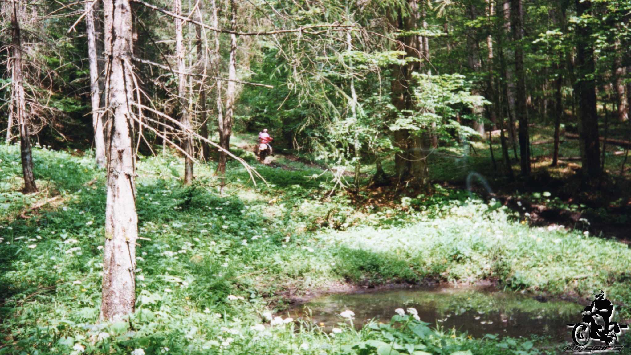 Photo 2528128