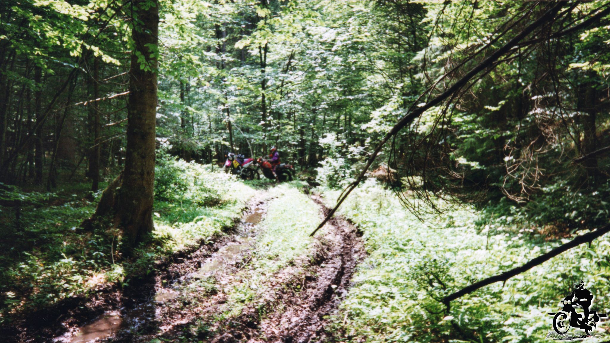 Photo 2528131