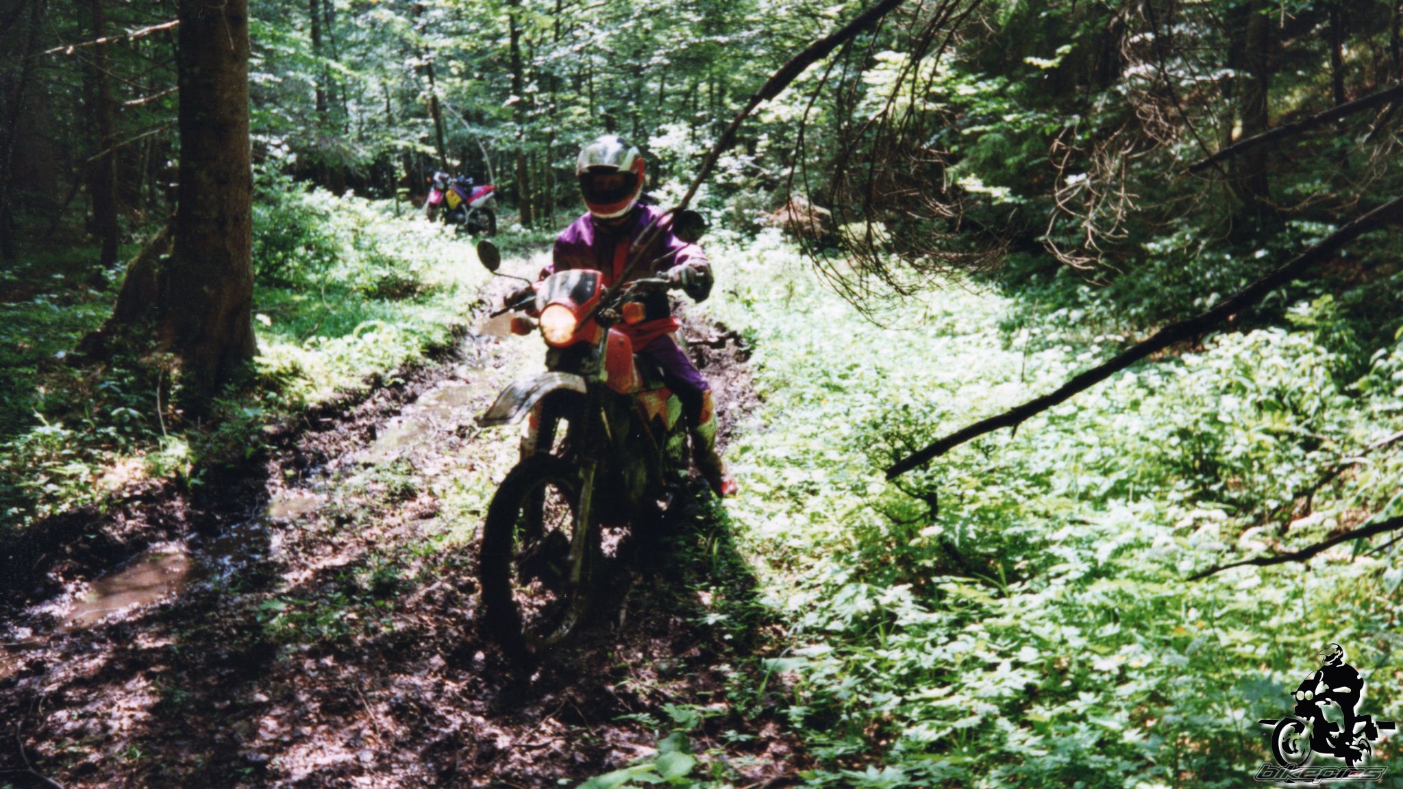 Photo 2528132