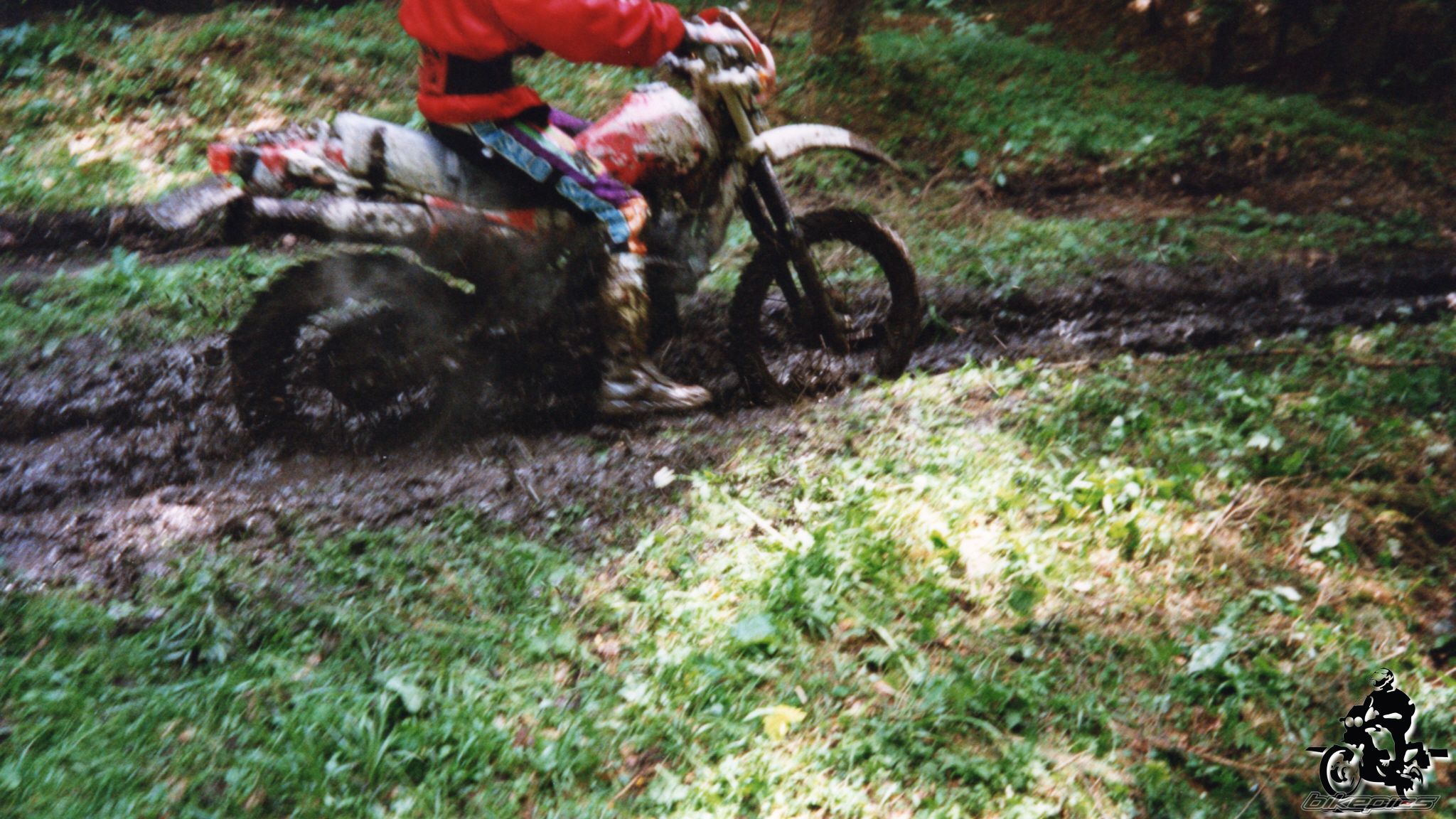 Photo 2528135