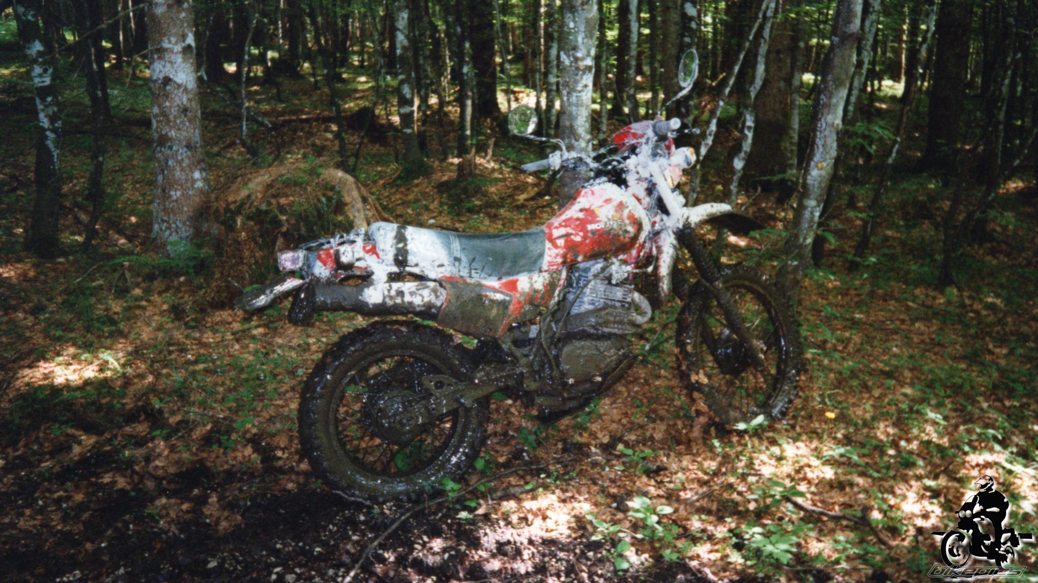 Photo 2528137