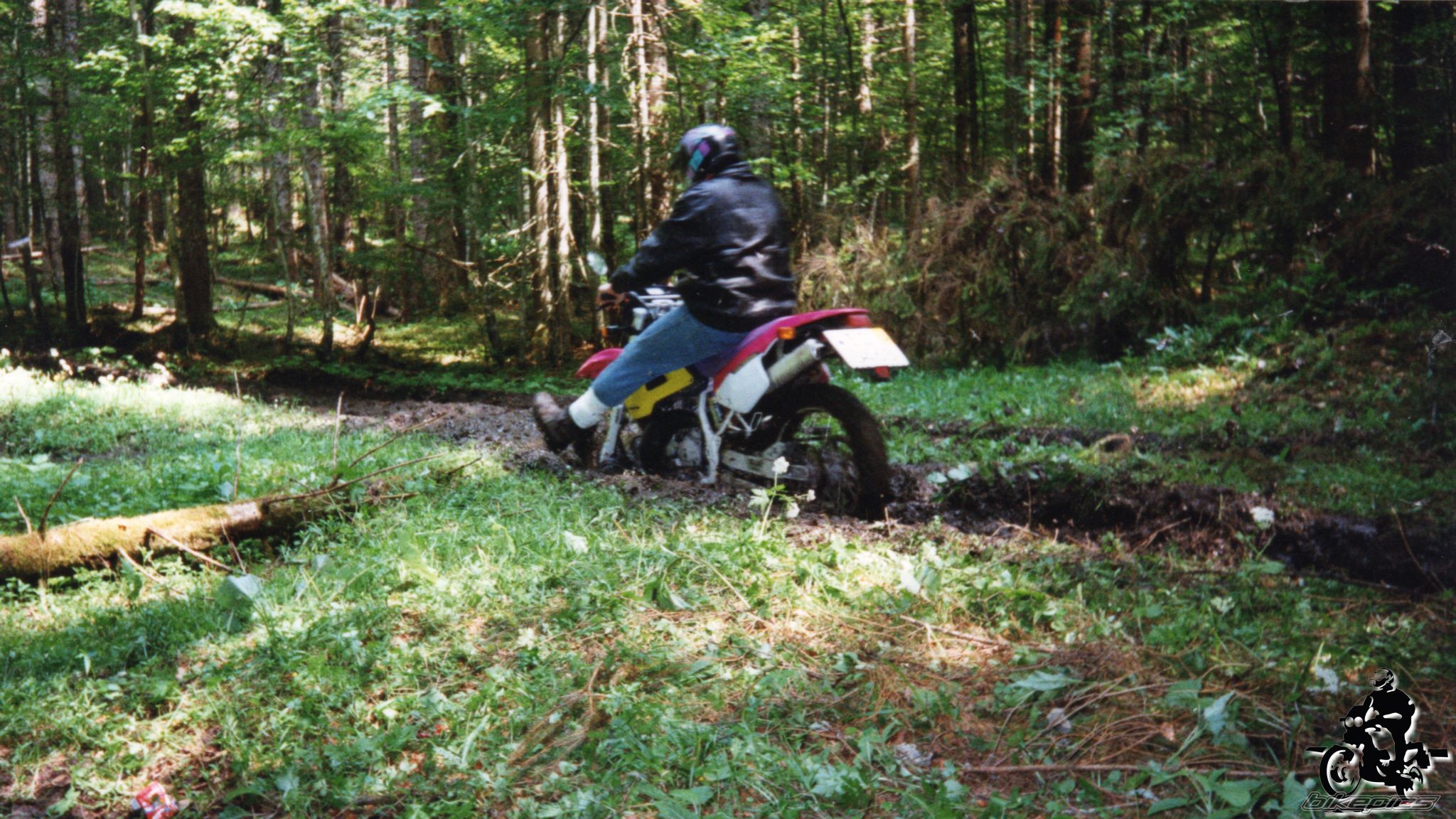 Photo 2528139