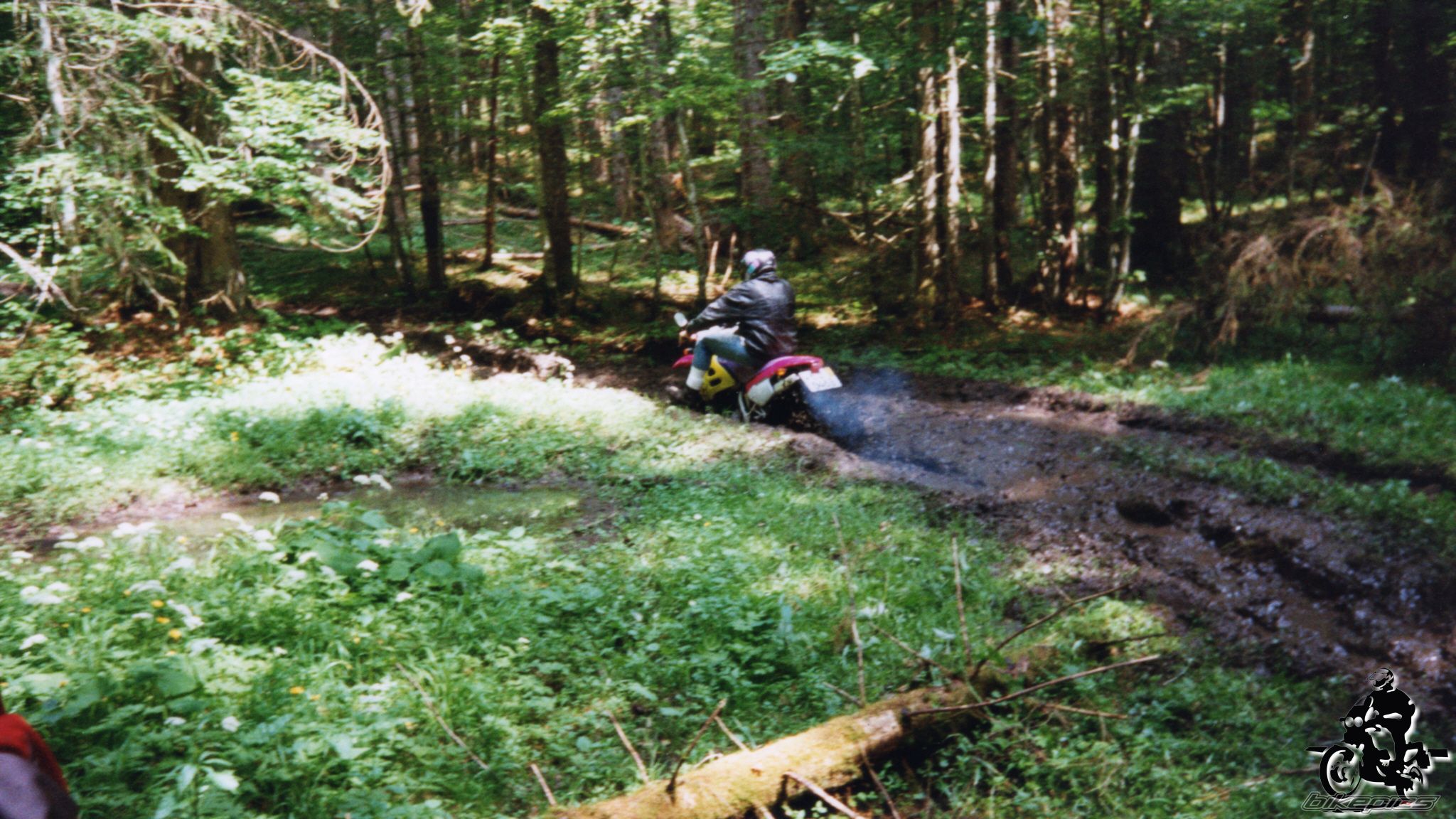 Photo 2528140