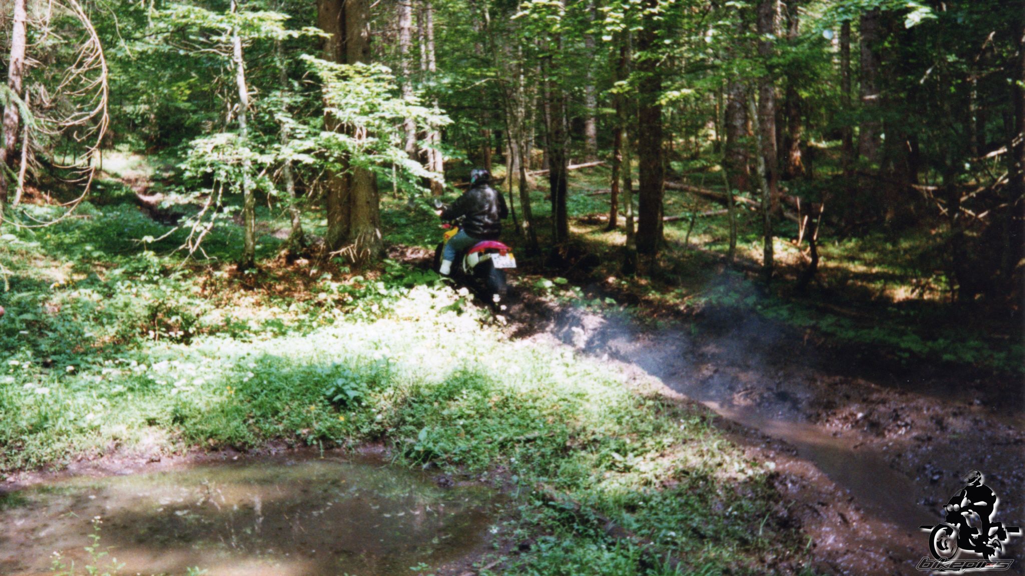 Photo 2528141