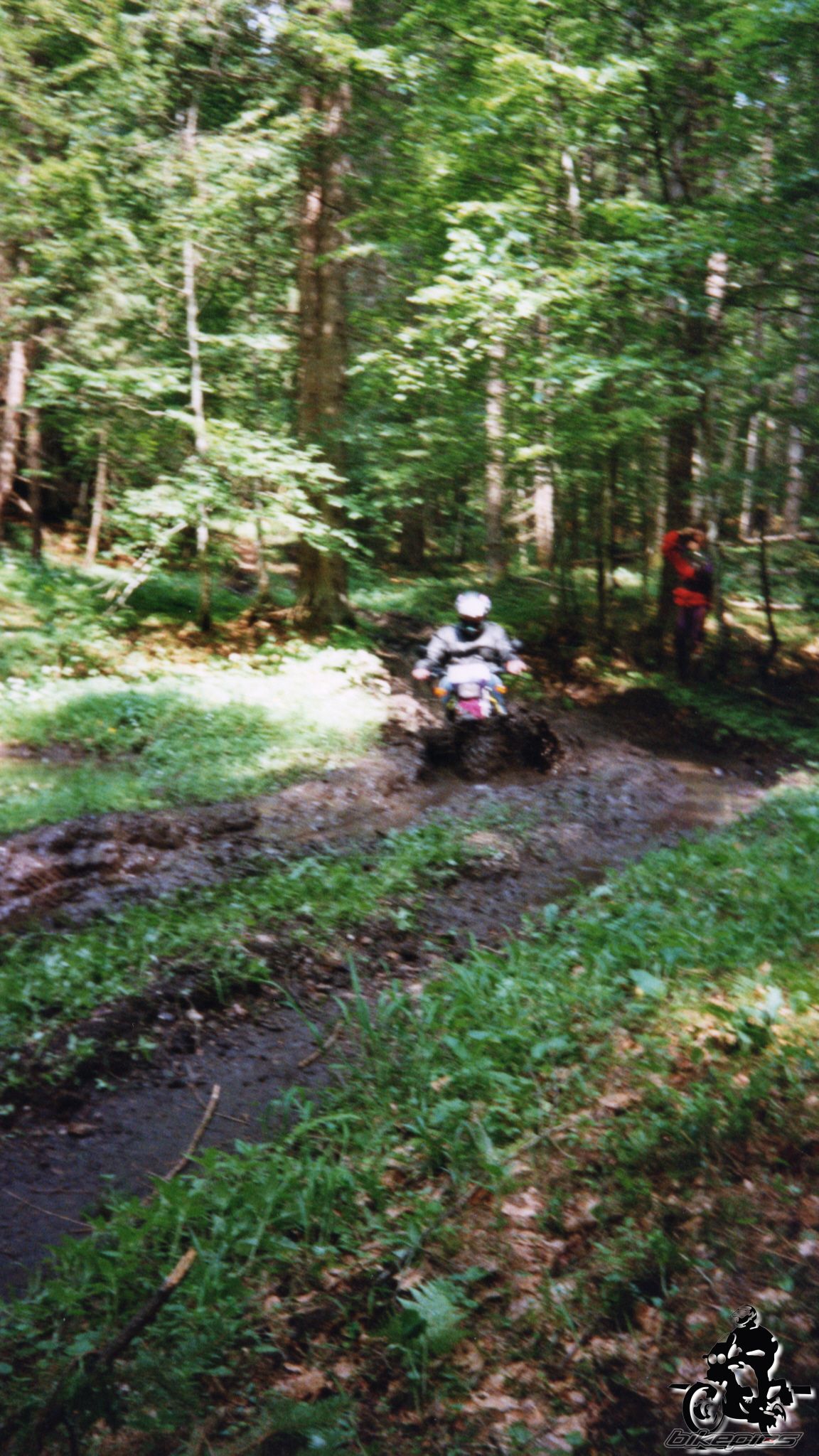 Photo 2528142