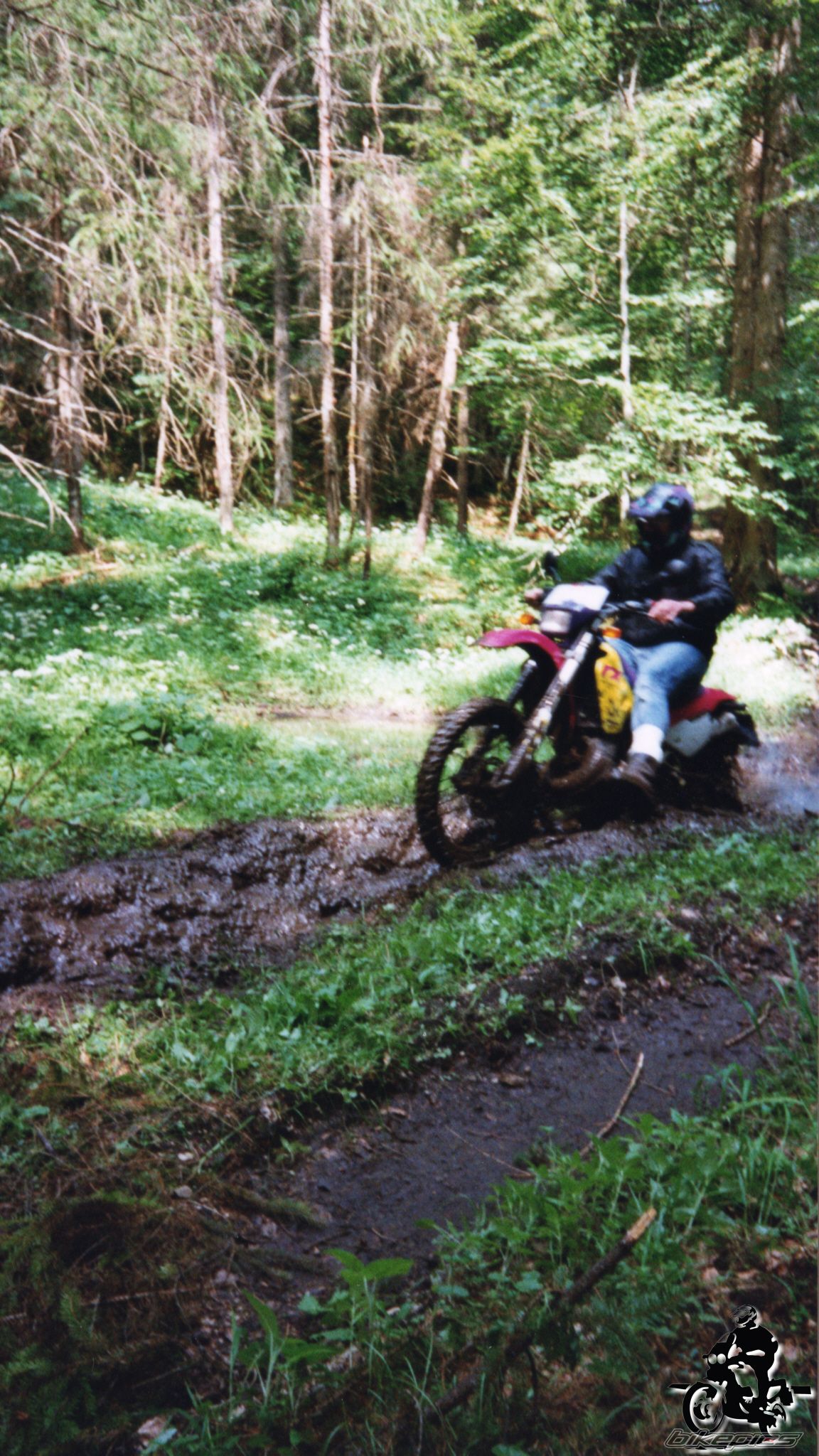 Photo 2528143