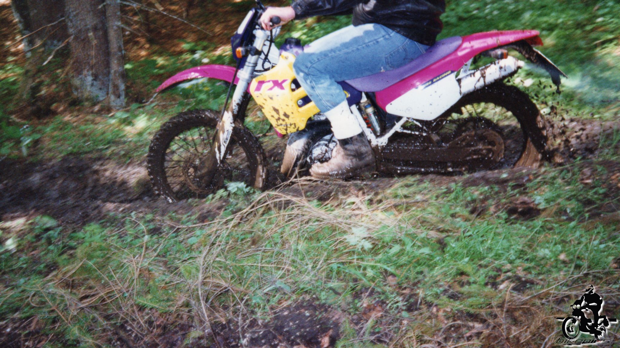 Photo 2528144