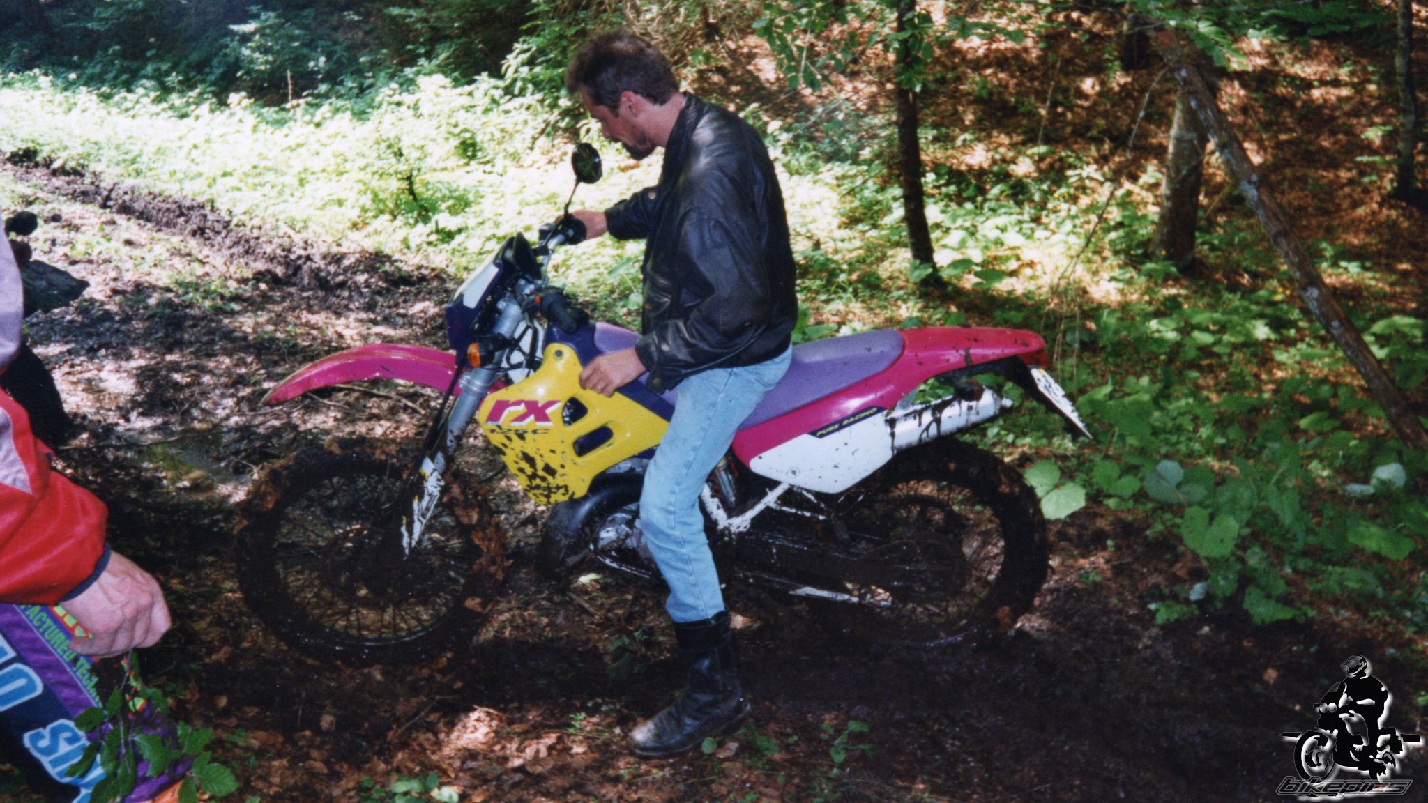 Photo 2528148