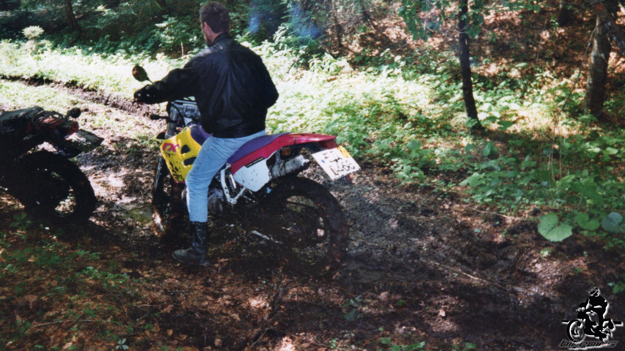 Photo 2528149
