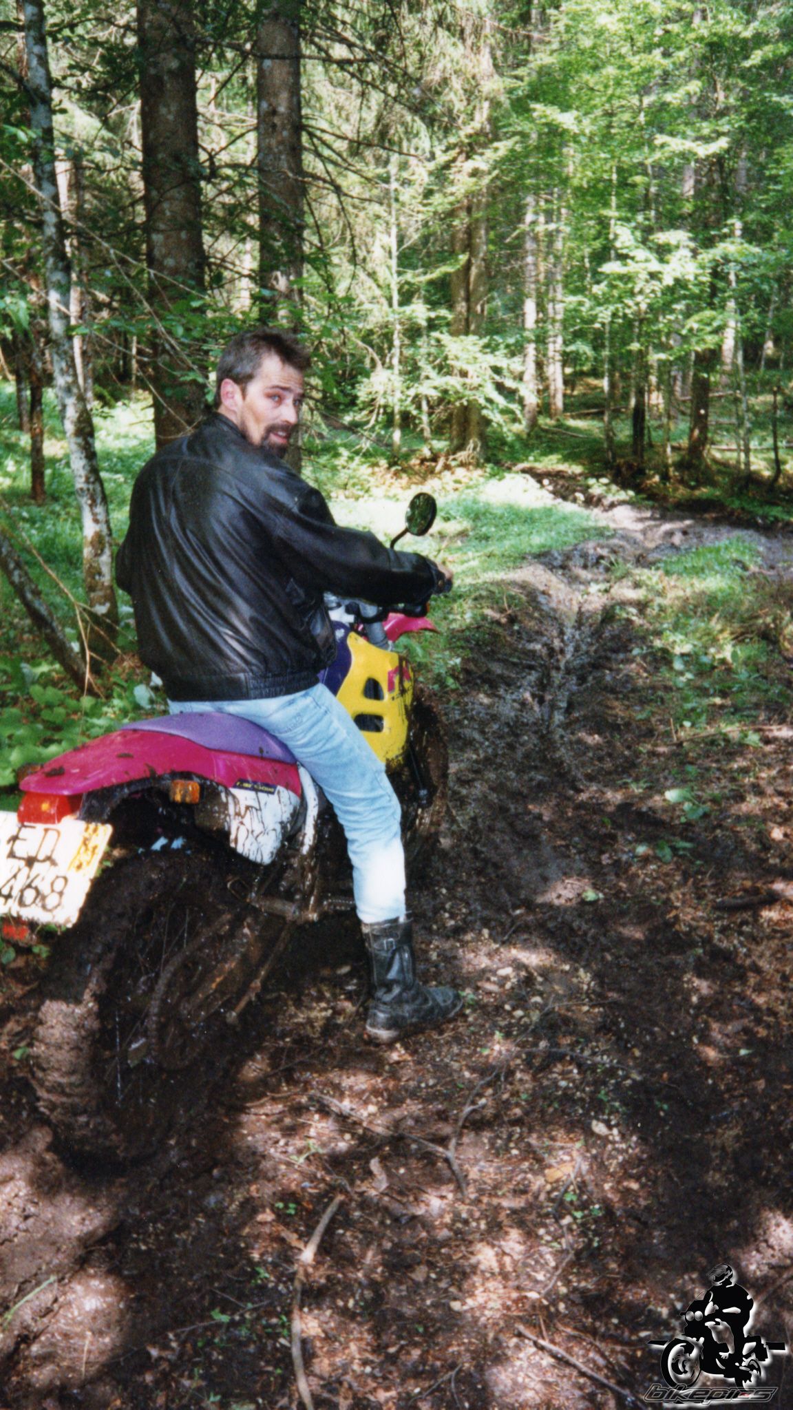 Photo 2528152