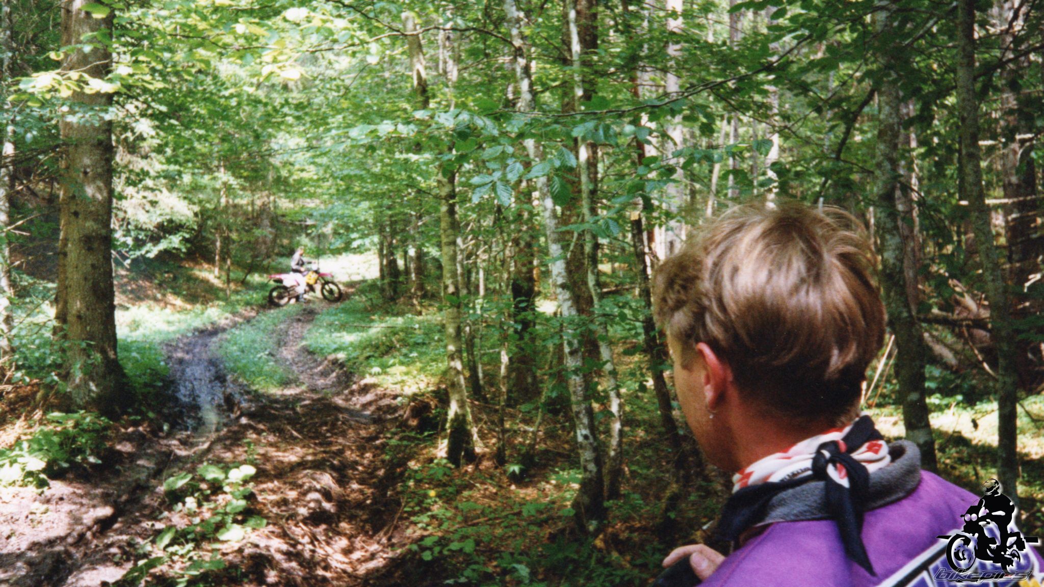 Photo 2528156
