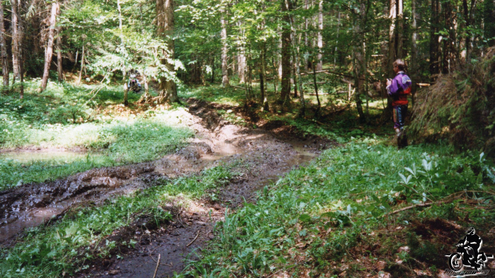 Photo 2528157