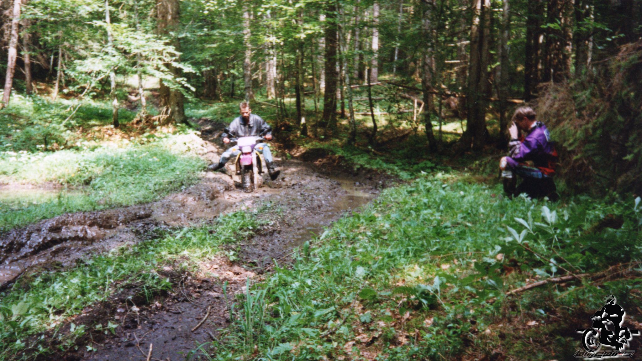 Photo 2528158