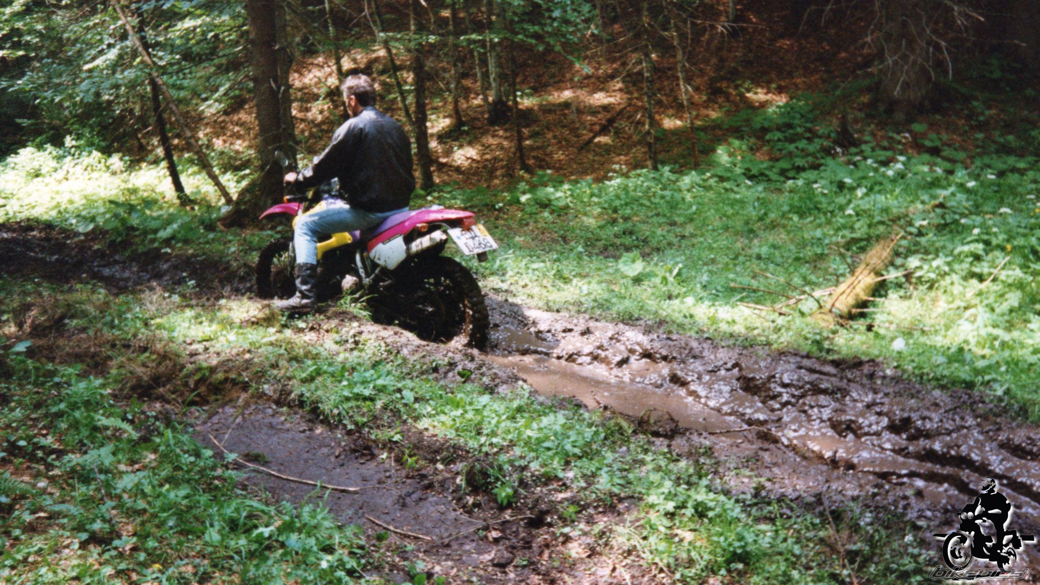 Photo 2528161