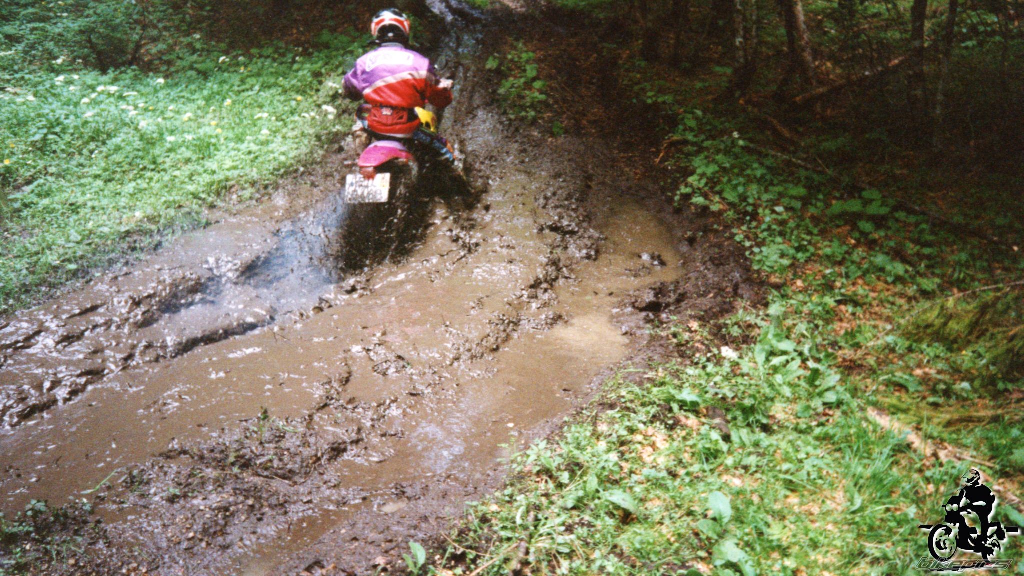 Photo 2528169