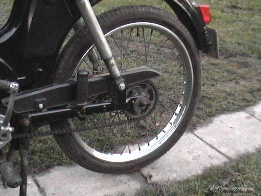 Photo 252817