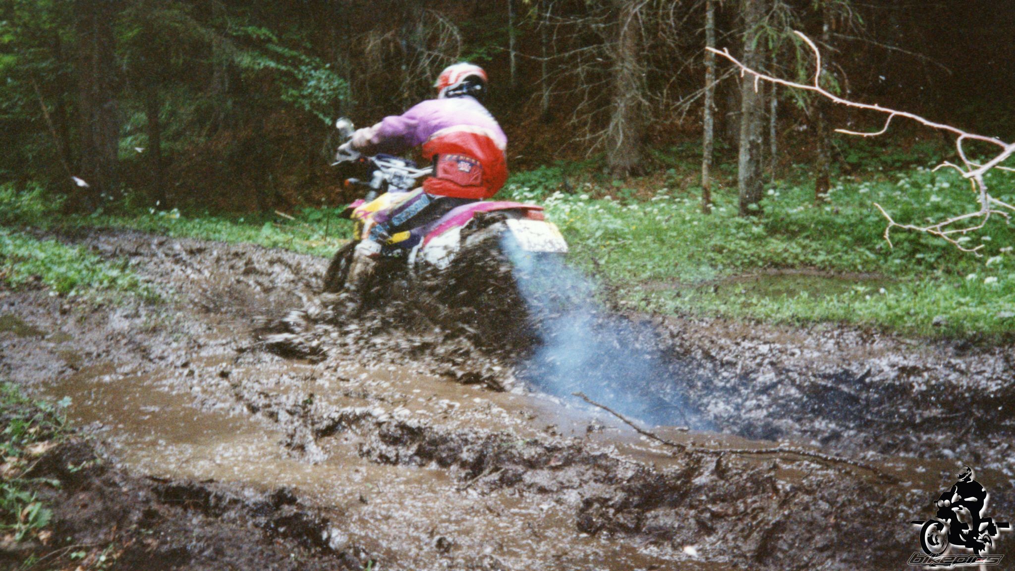 Photo 2528170