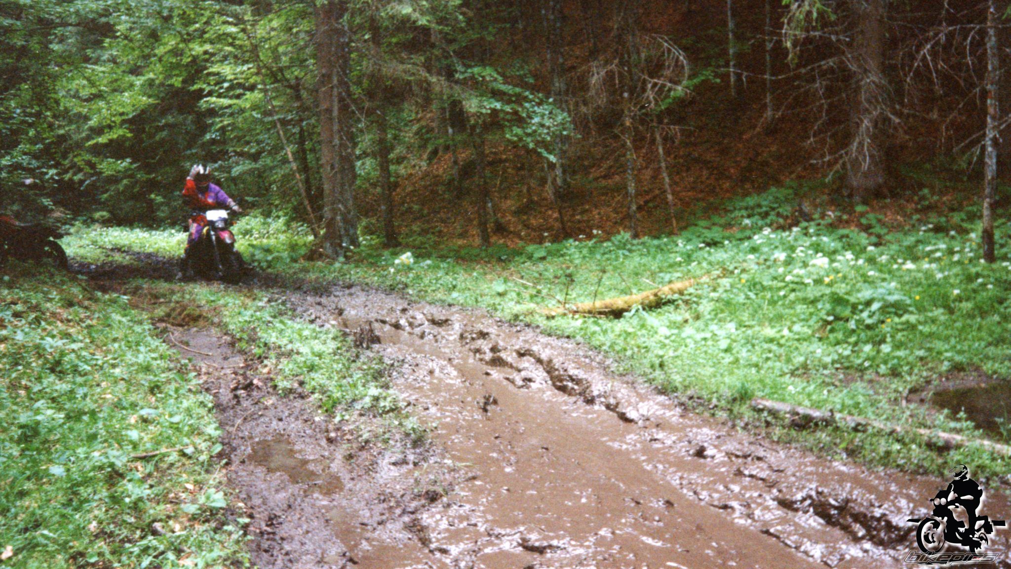 Photo 2528172